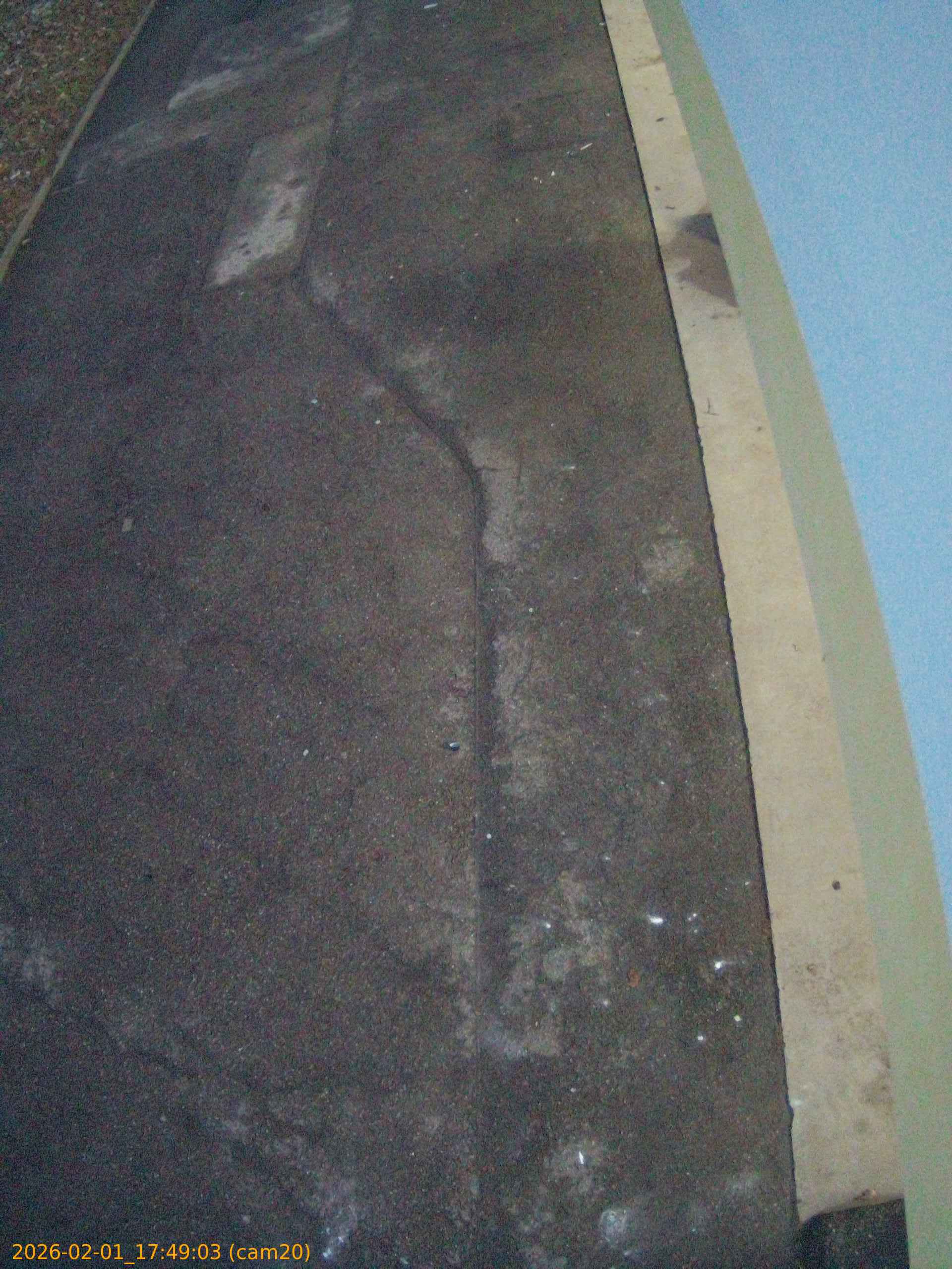 thumbnail_20260201174903