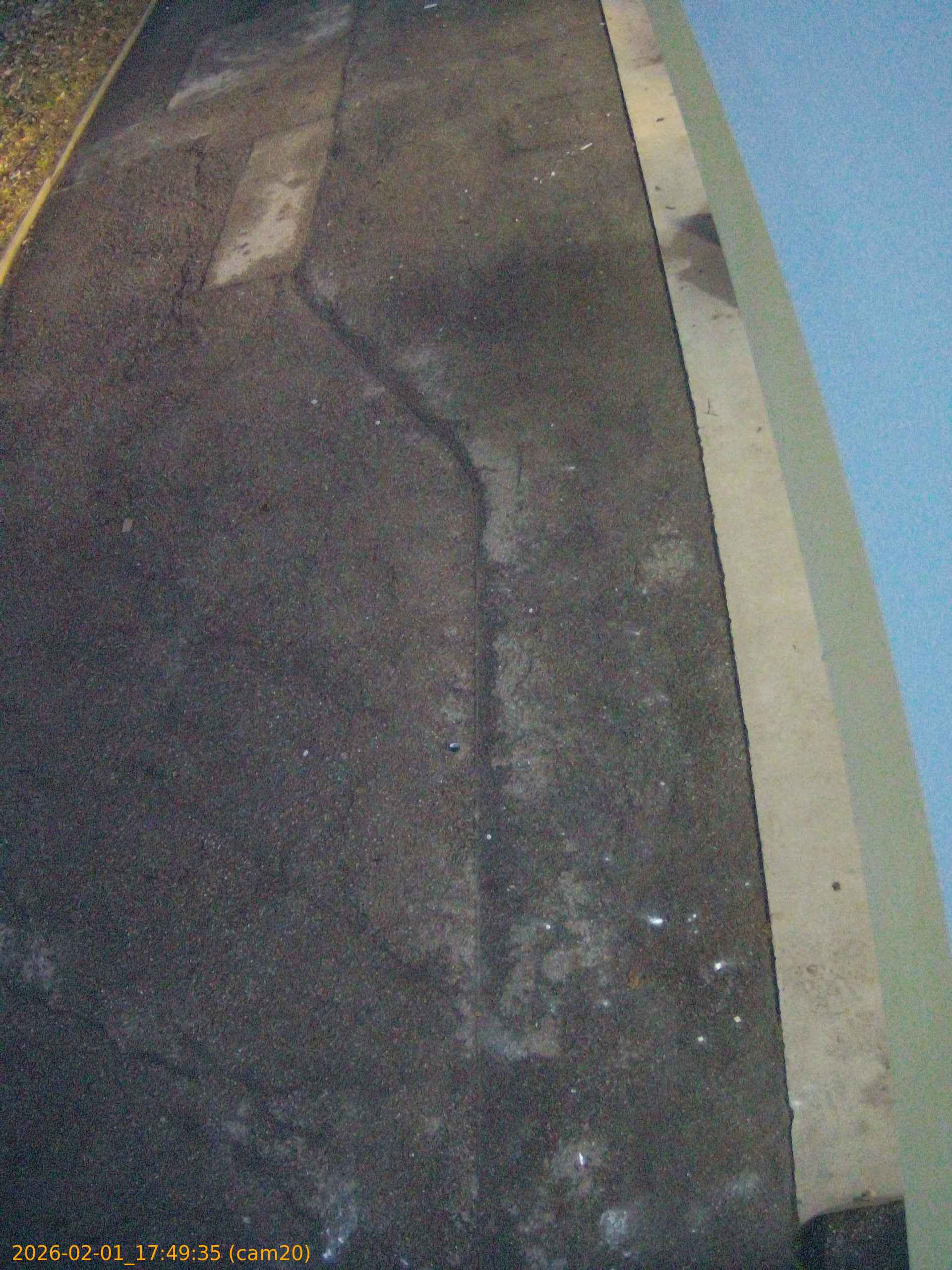 thumbnail_20260201174935