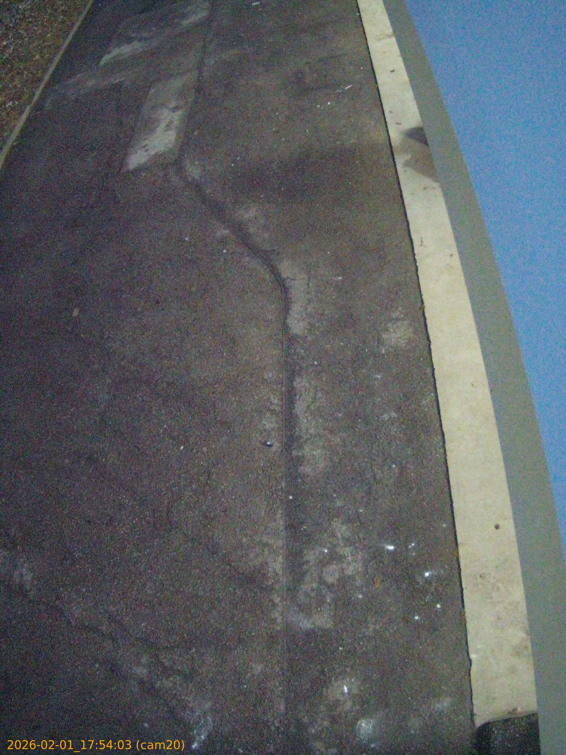 thumbnail_20260201175403