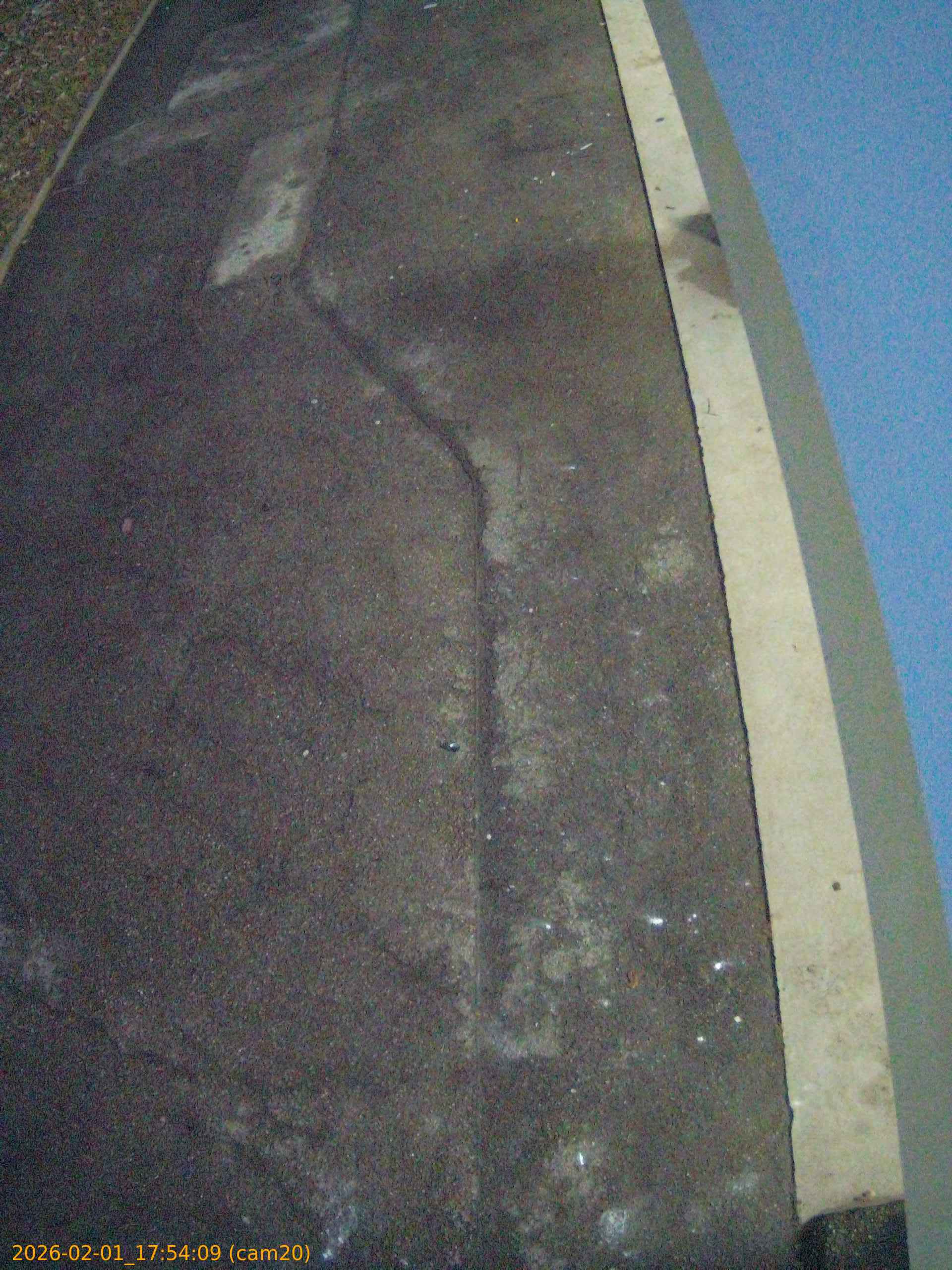 thumbnail_20260201175409