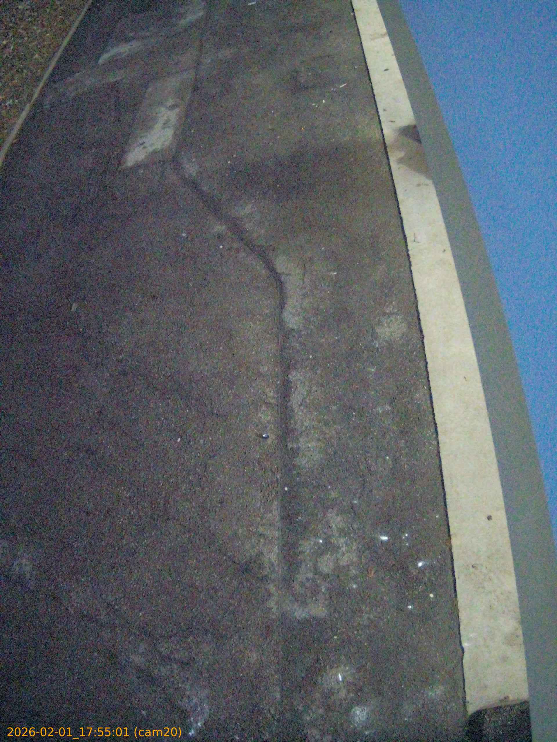 thumbnail_20260201175501