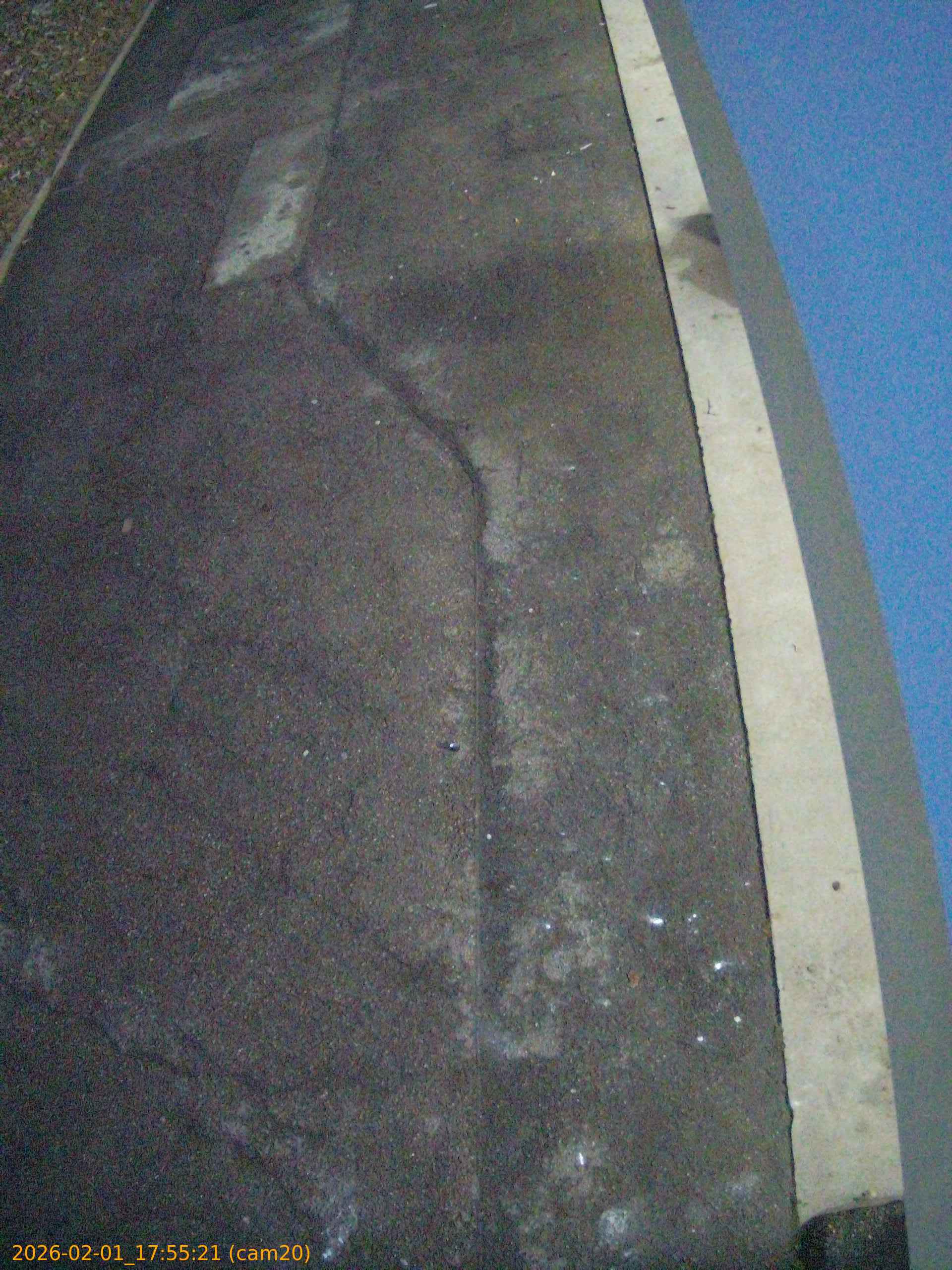 thumbnail_20260201175521