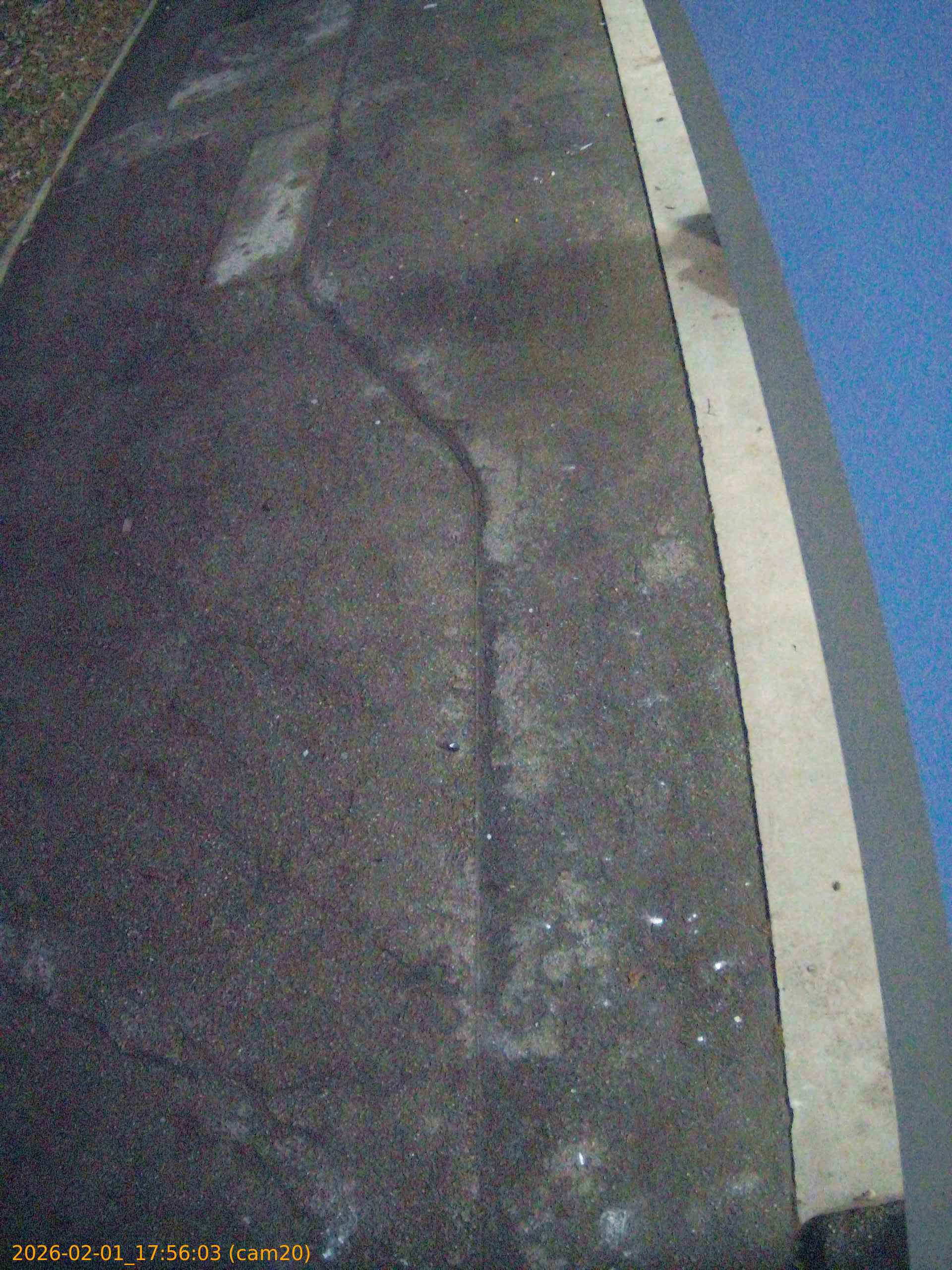 thumbnail_20260201175603