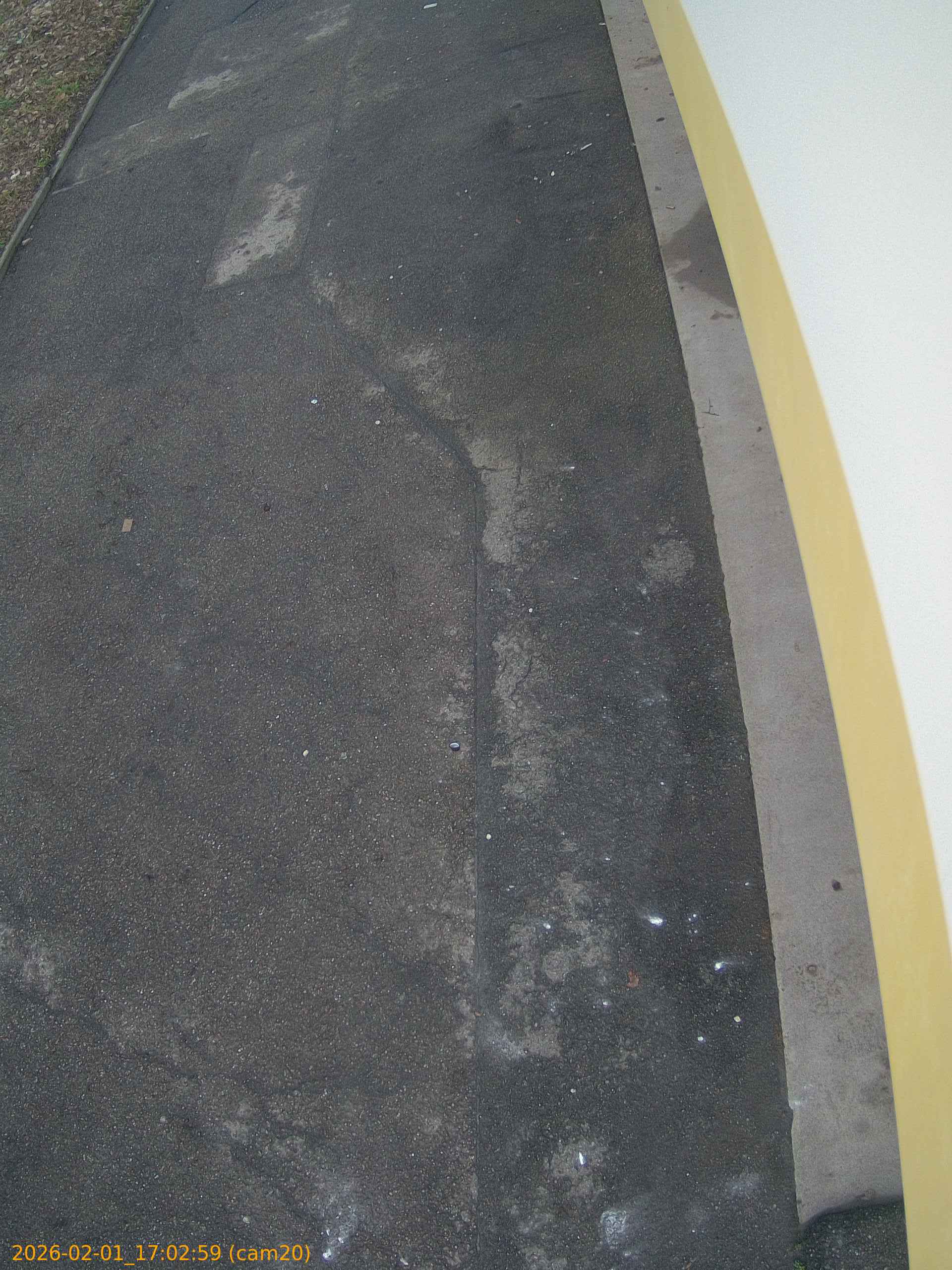 thumbnail_202602011702