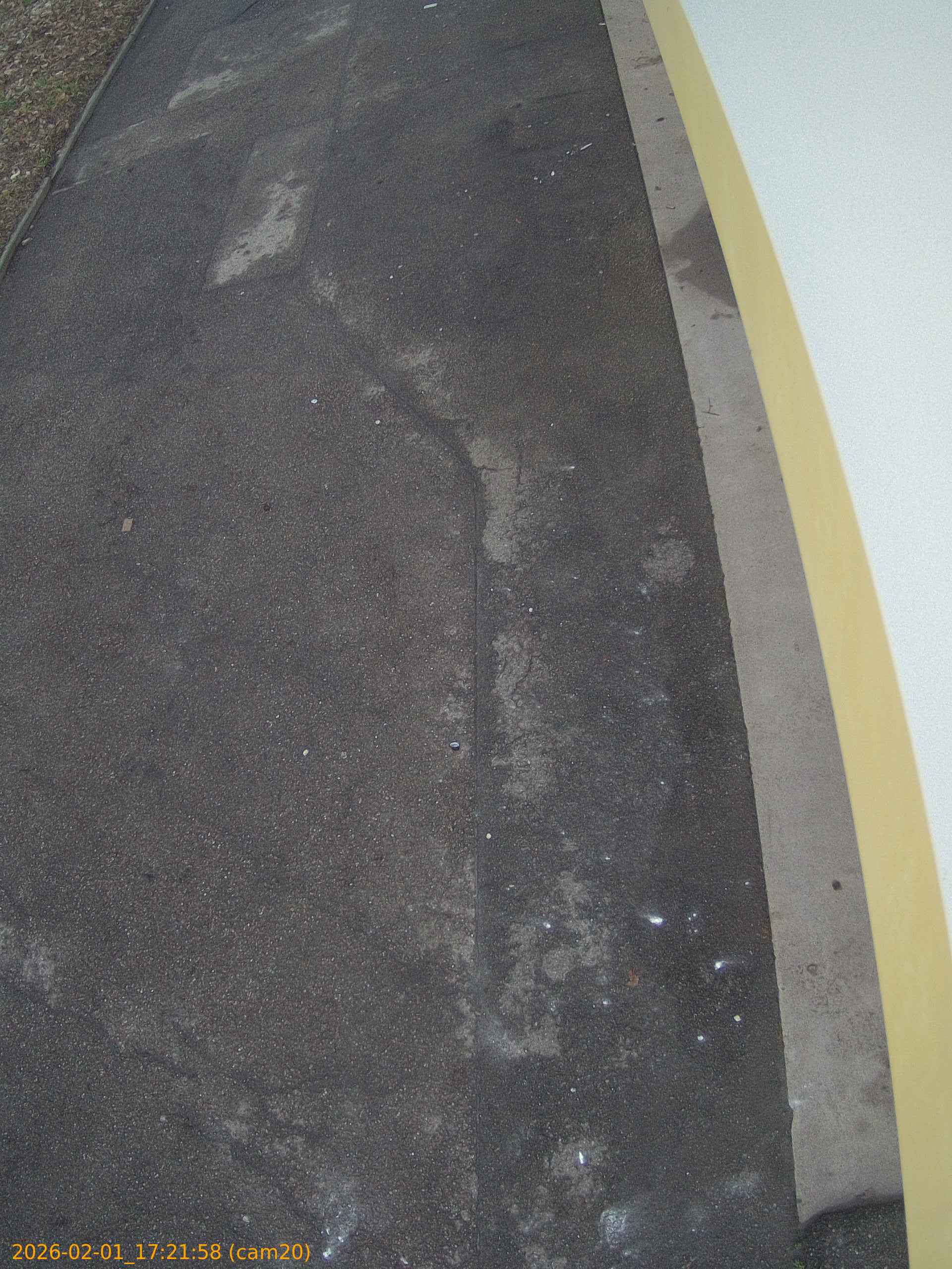 thumbnail_202602011721