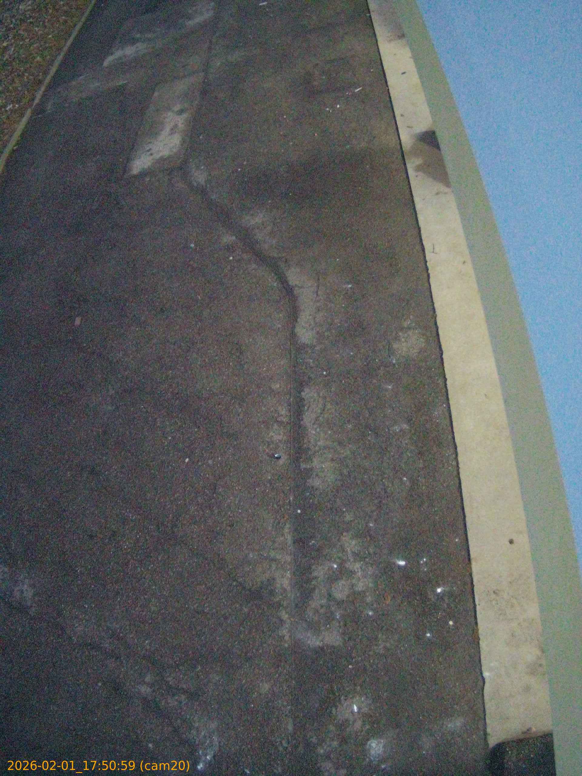 thumbnail_202602011750