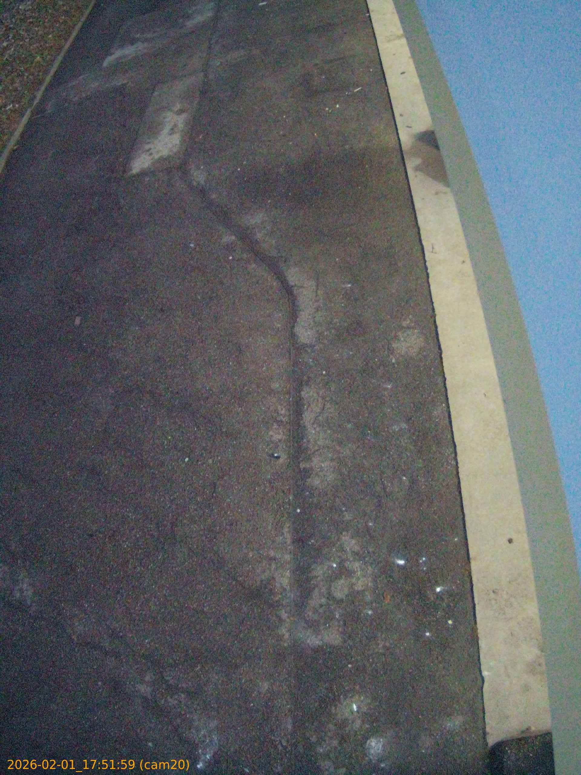 thumbnail_202602011751