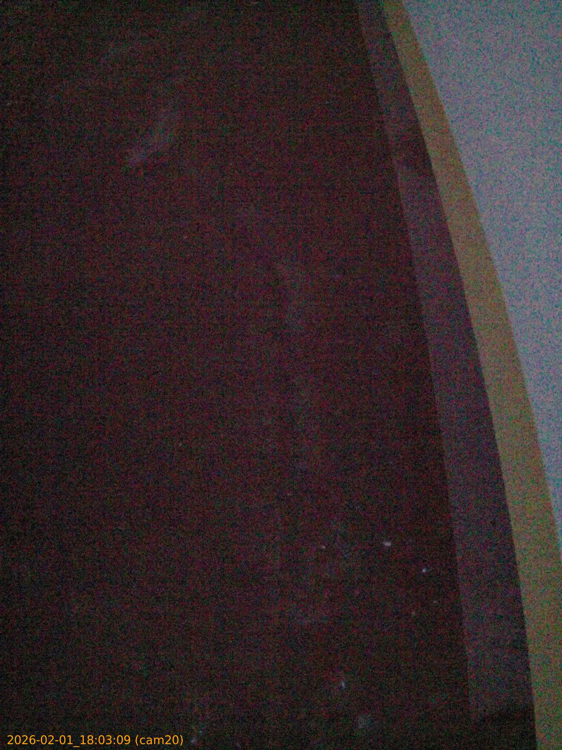 thumbnail_20260201180309