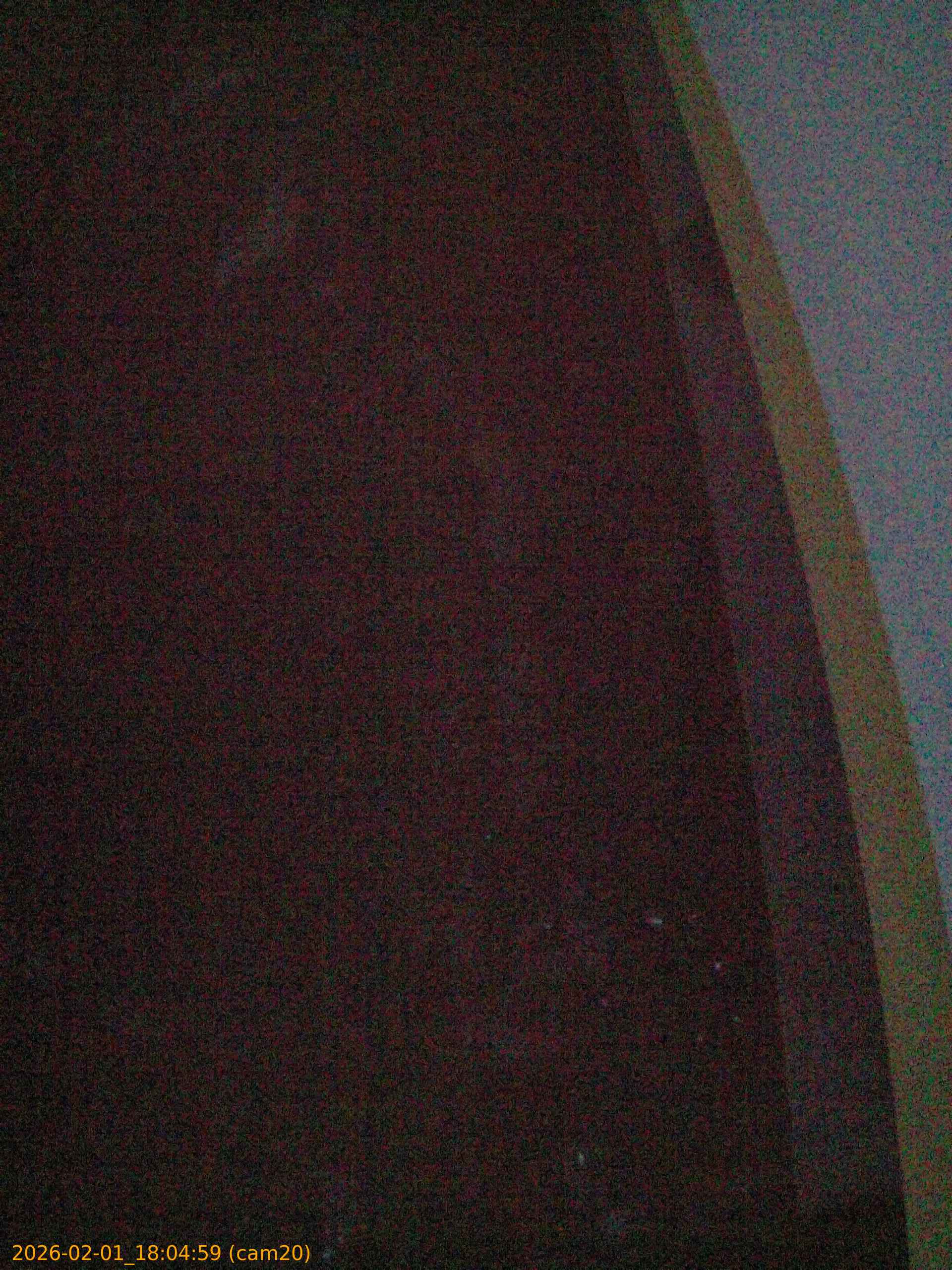 thumbnail_20260201180459