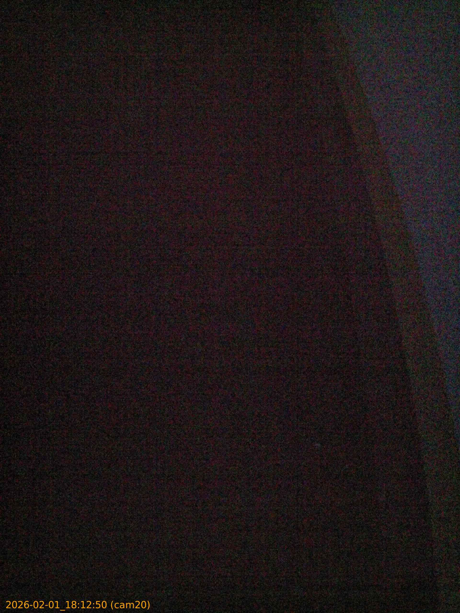 thumbnail_20260201181250