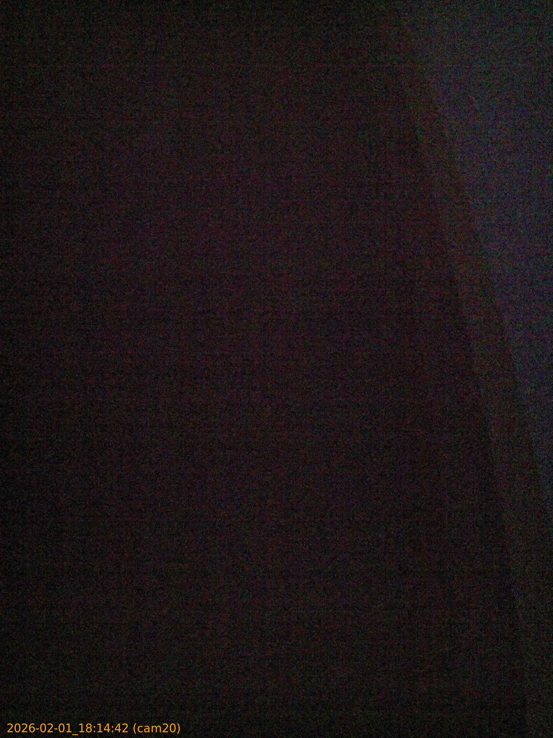 thumbnail_20260201181442