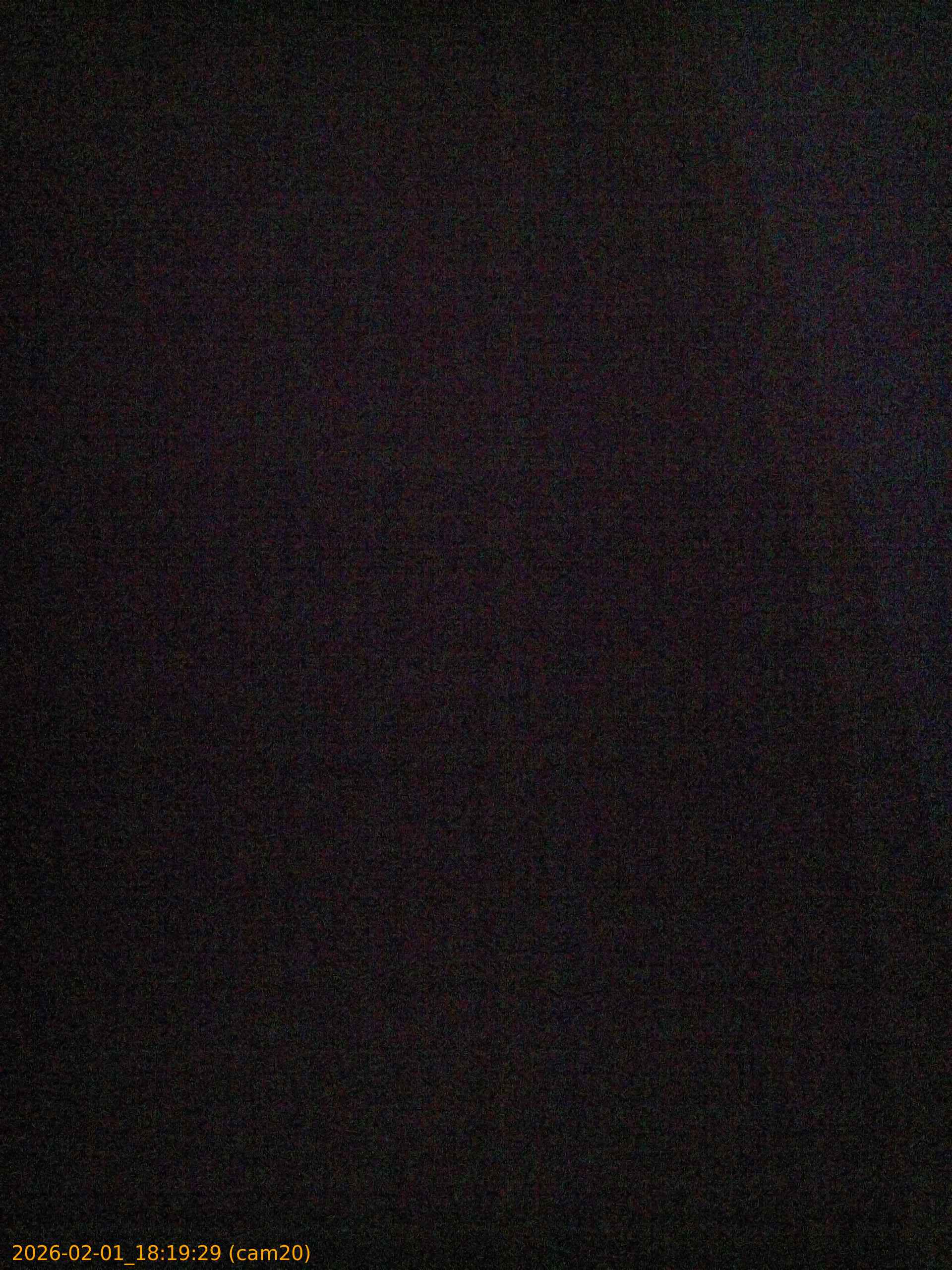 thumbnail_20260201181929