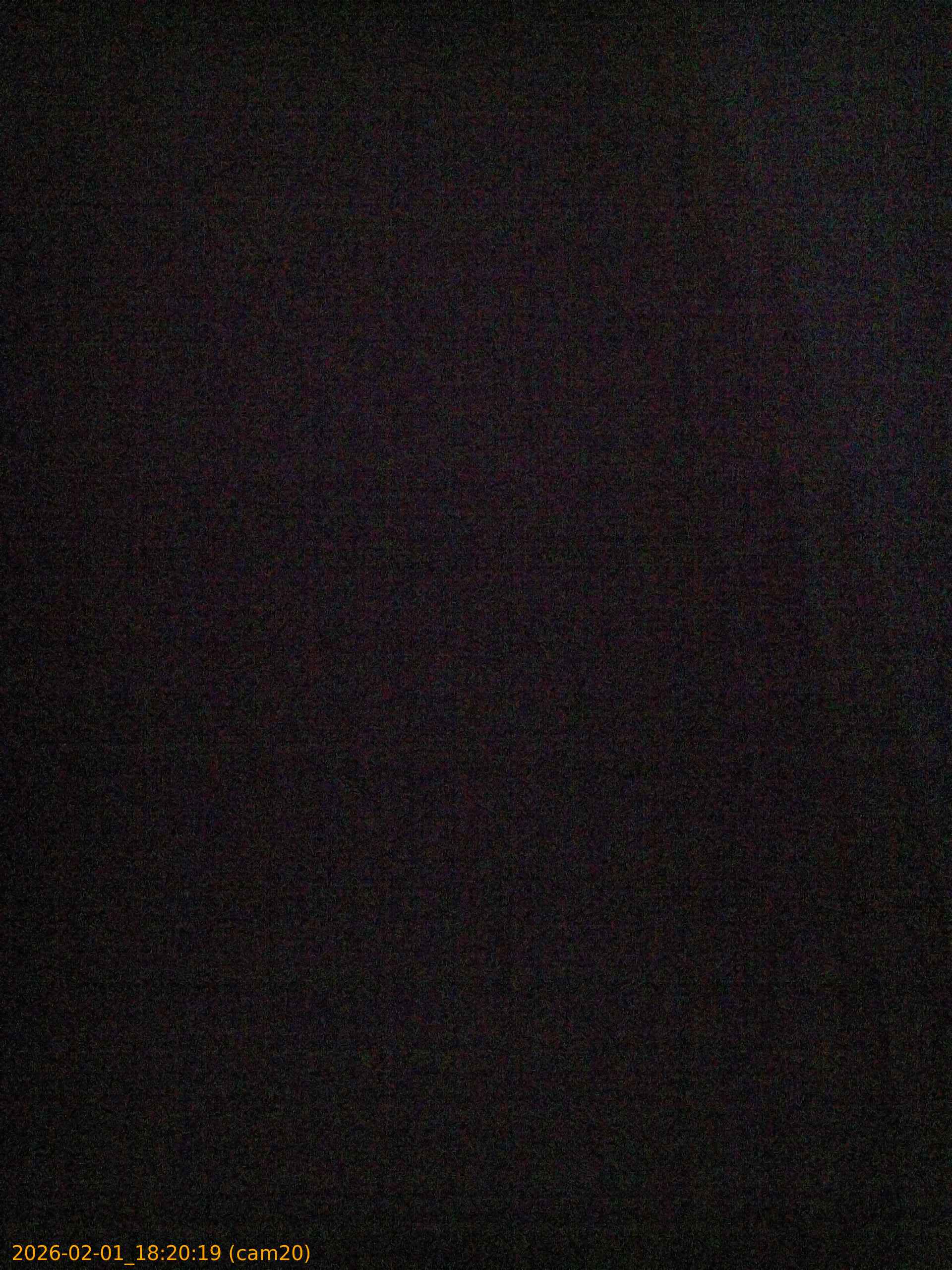 thumbnail_20260201182019