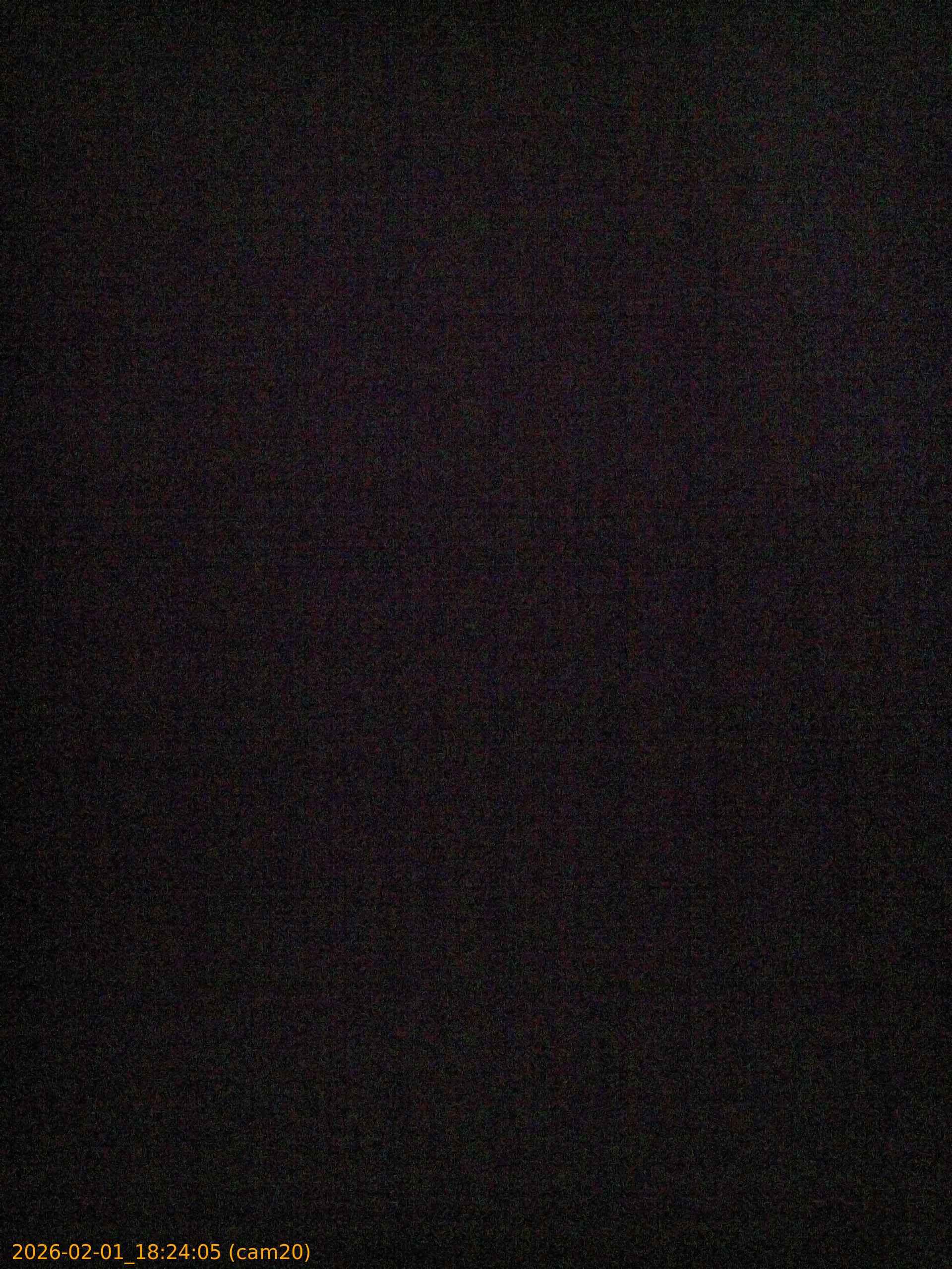 thumbnail_20260201182405