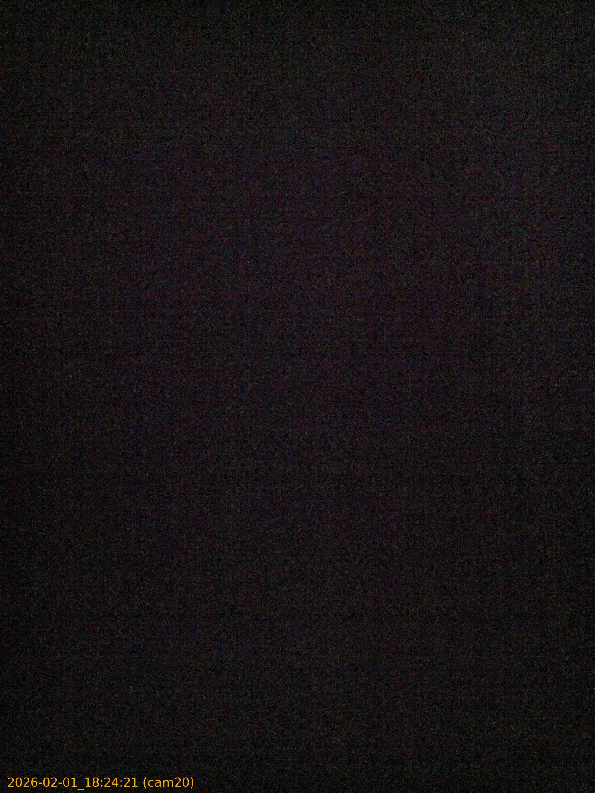 thumbnail_20260201182421