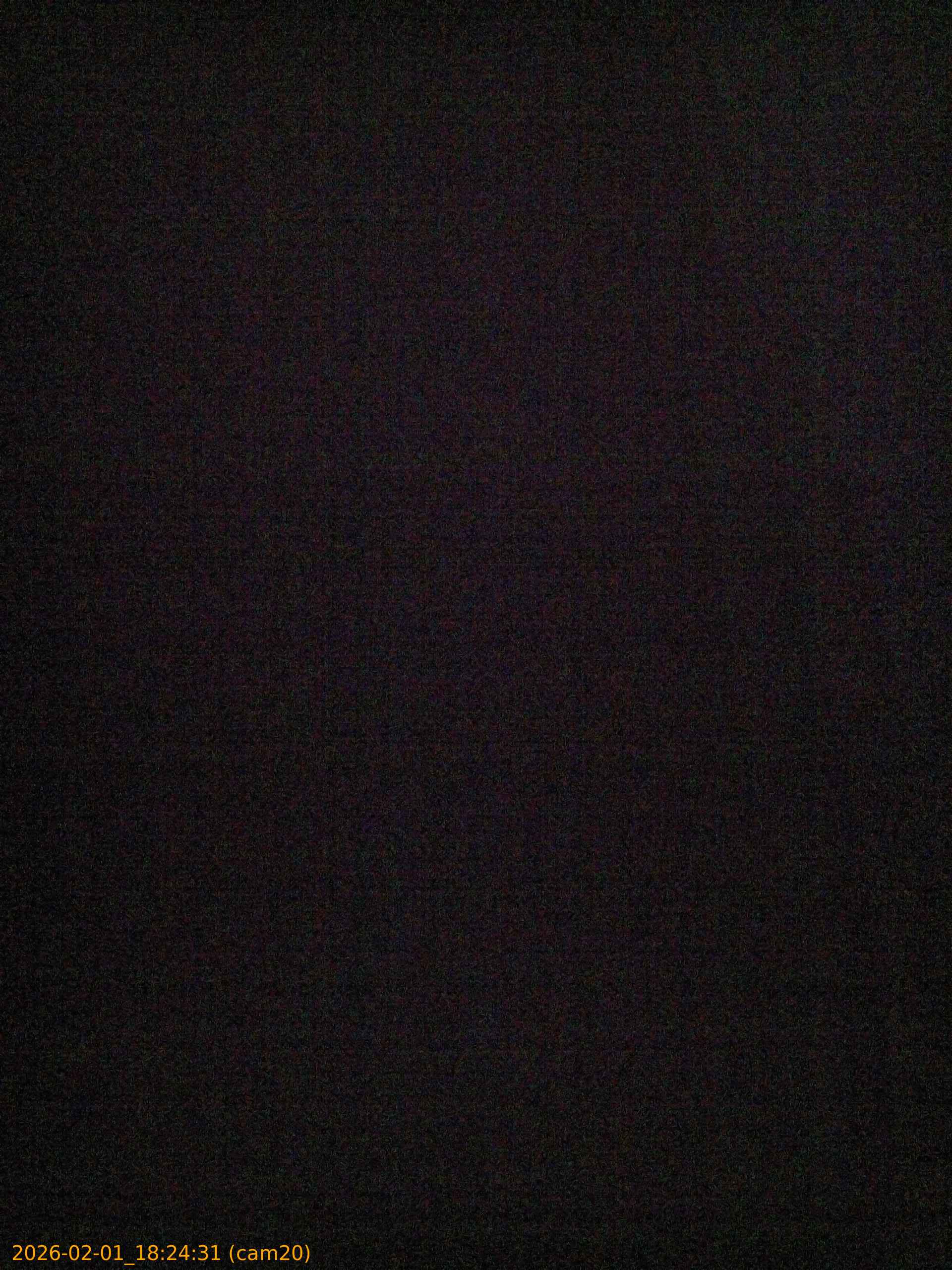 thumbnail_20260201182431