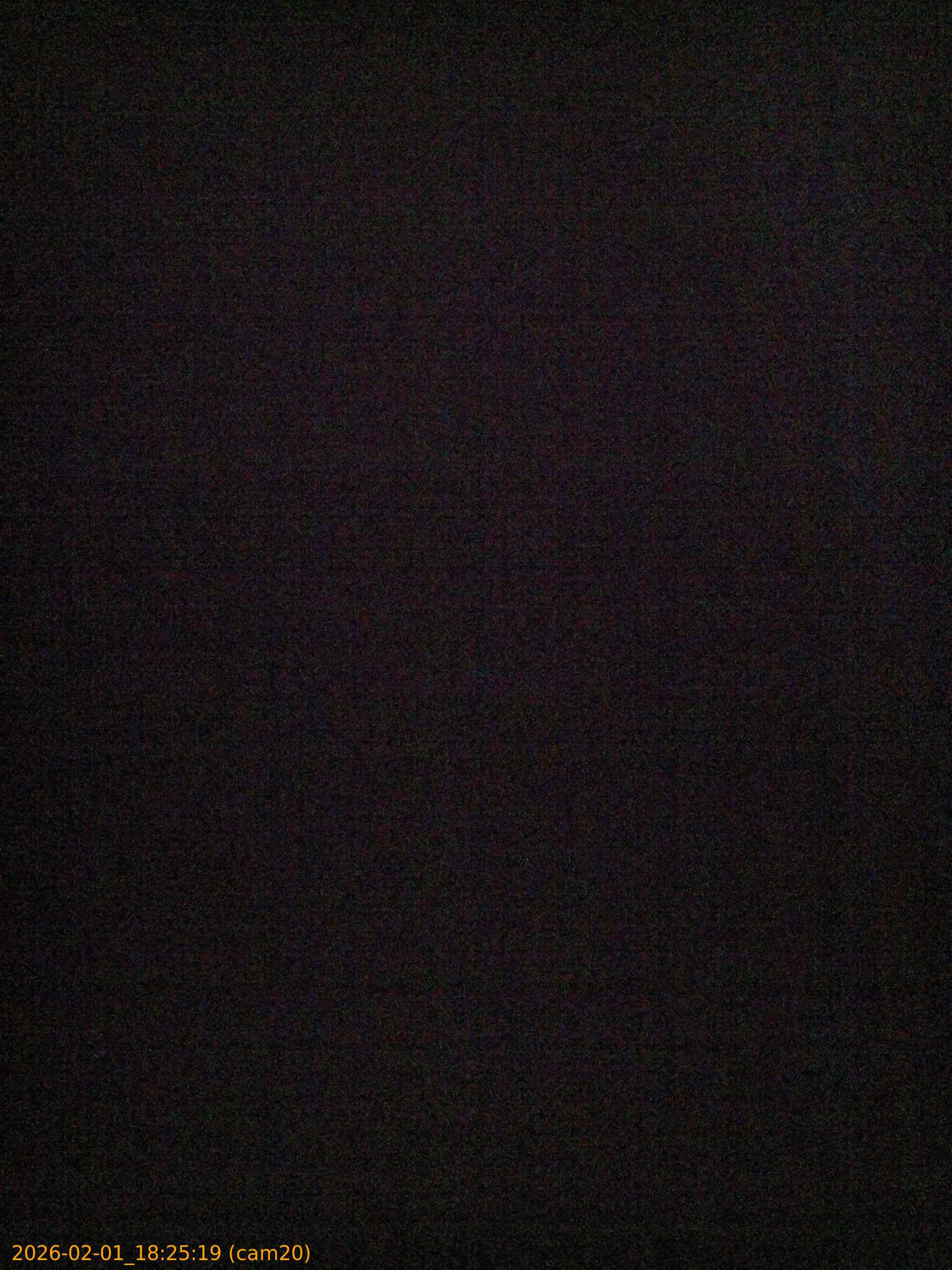 thumbnail_20260201182519