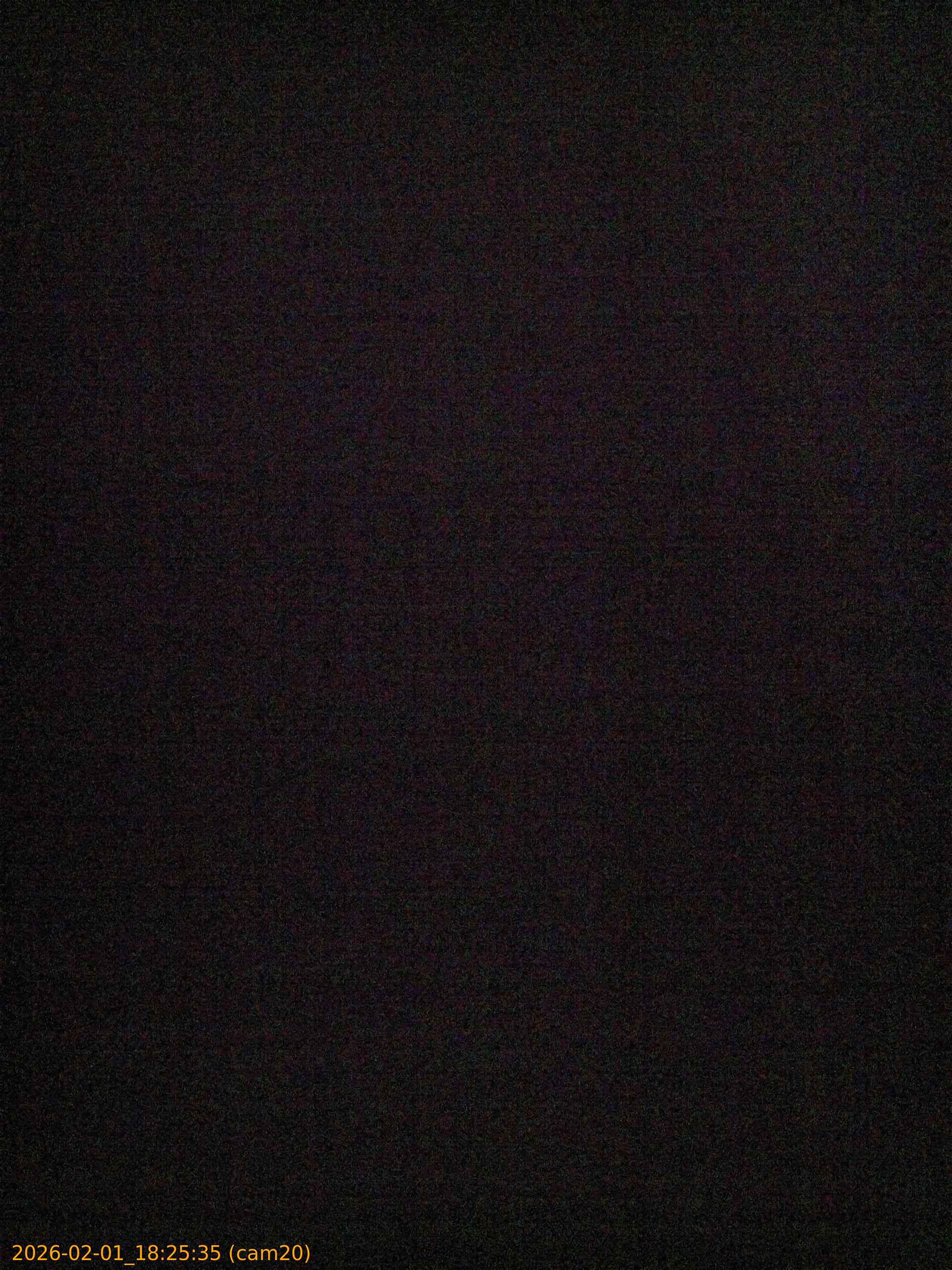 thumbnail_20260201182535