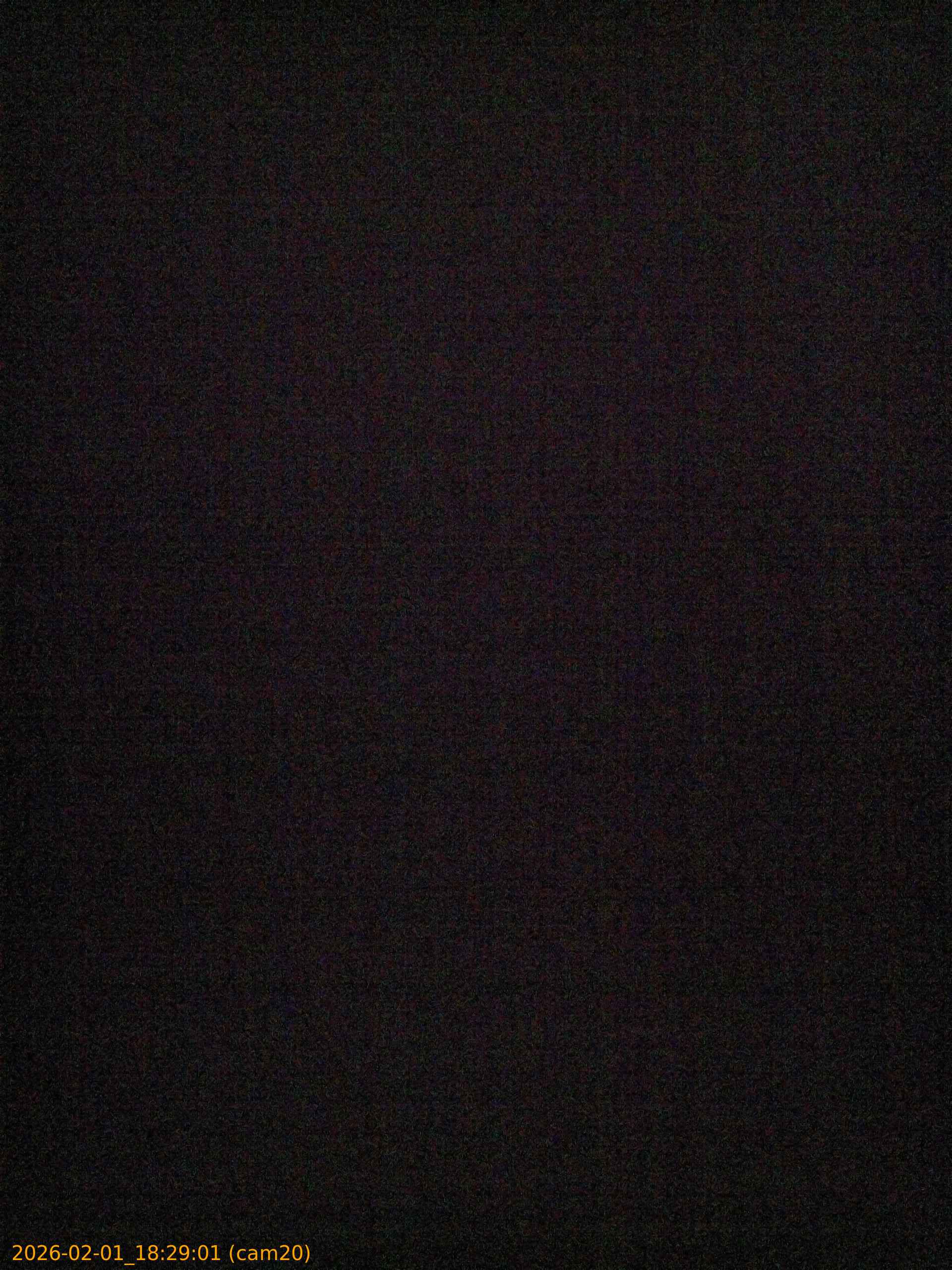 thumbnail_20260201182901