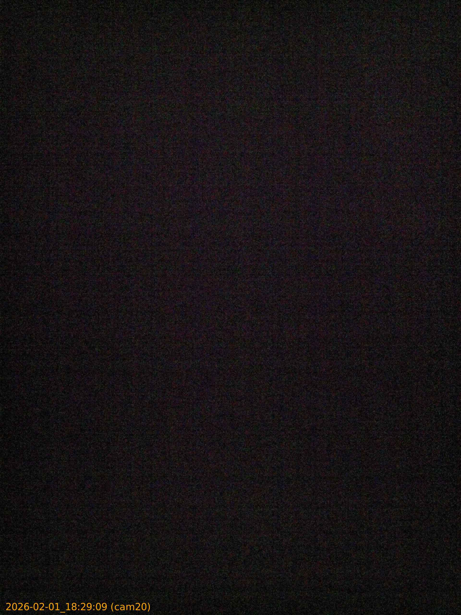 thumbnail_20260201182909