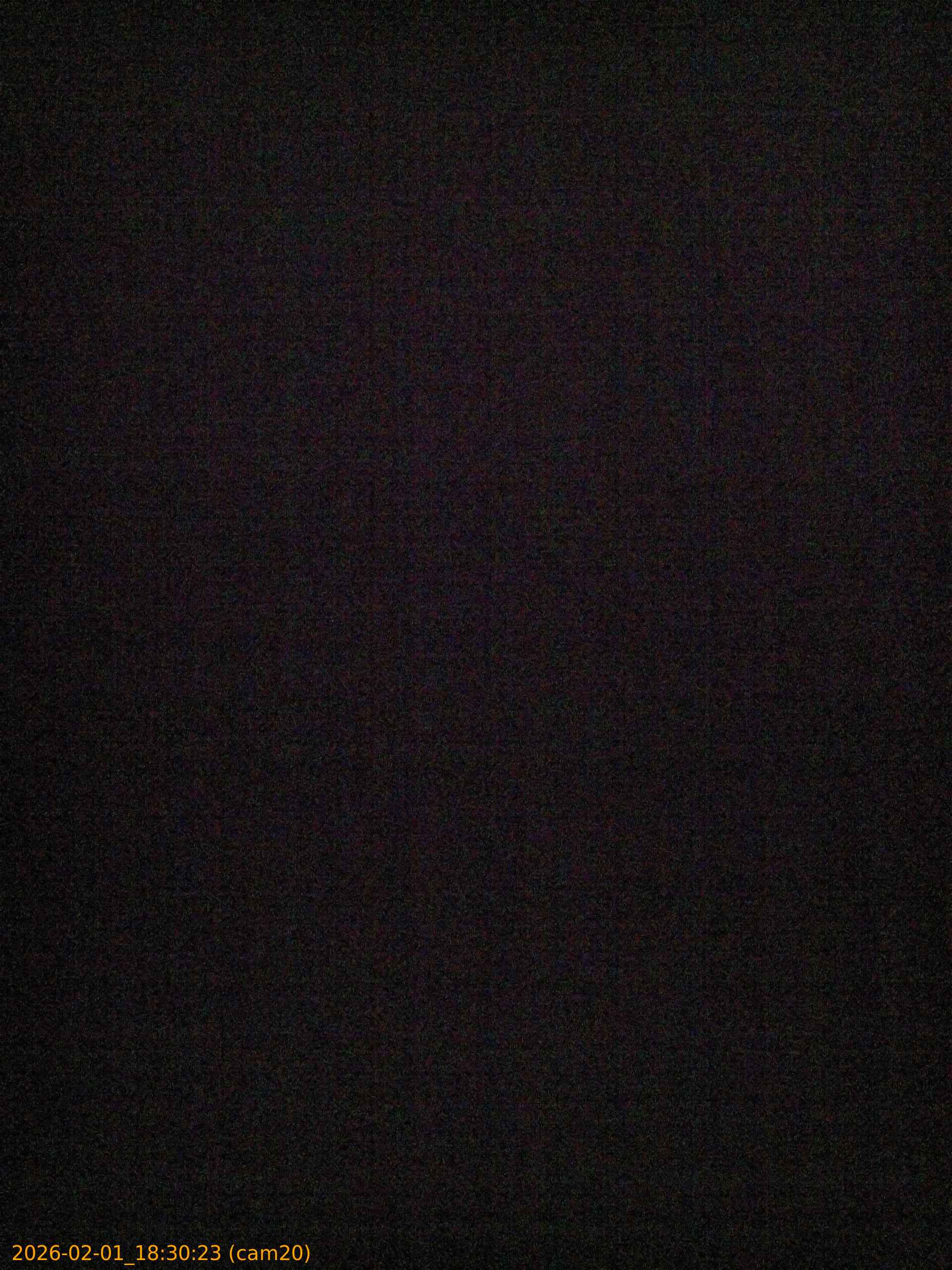 thumbnail_20260201183023