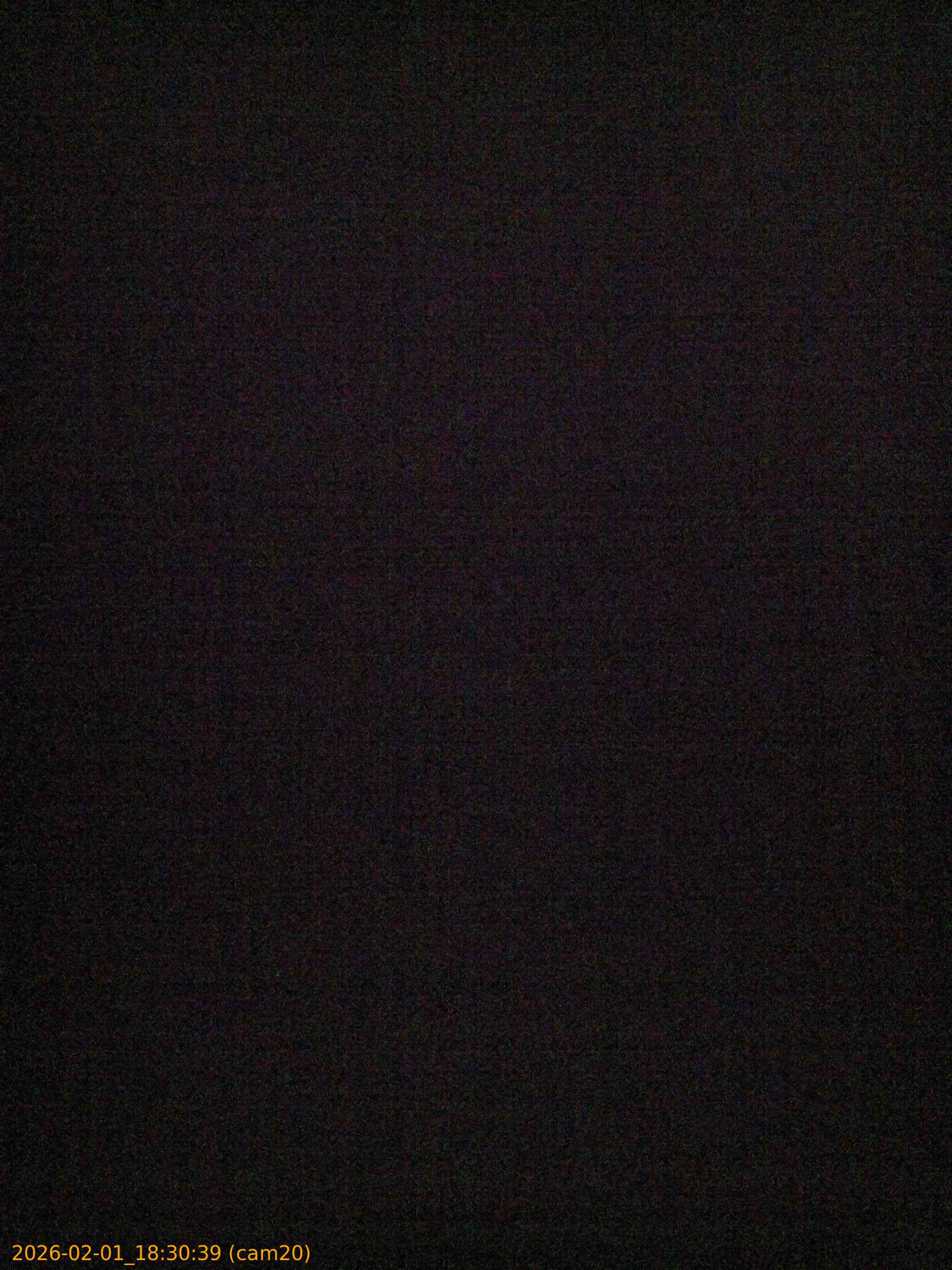 thumbnail_20260201183039