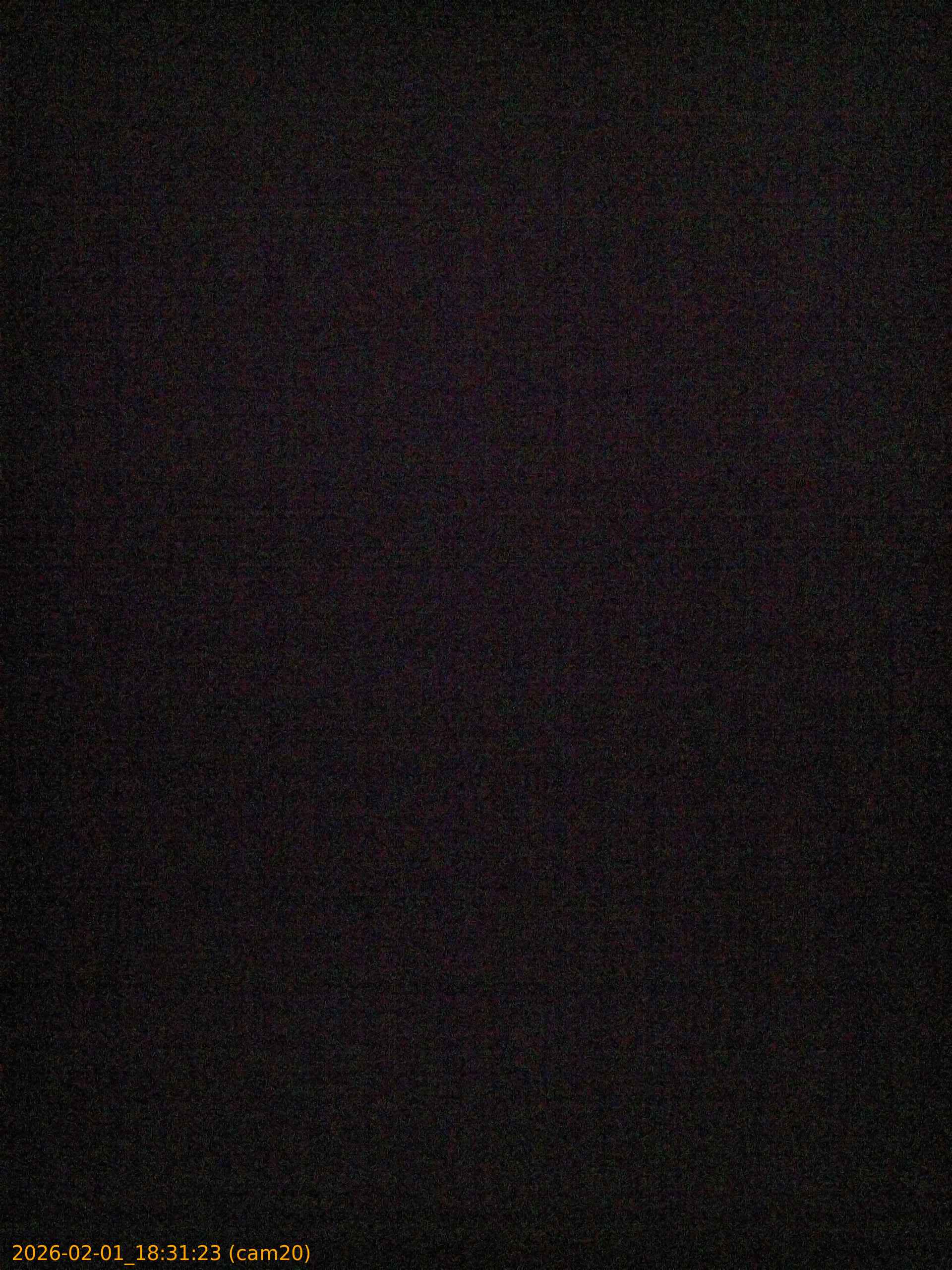 thumbnail_20260201183123