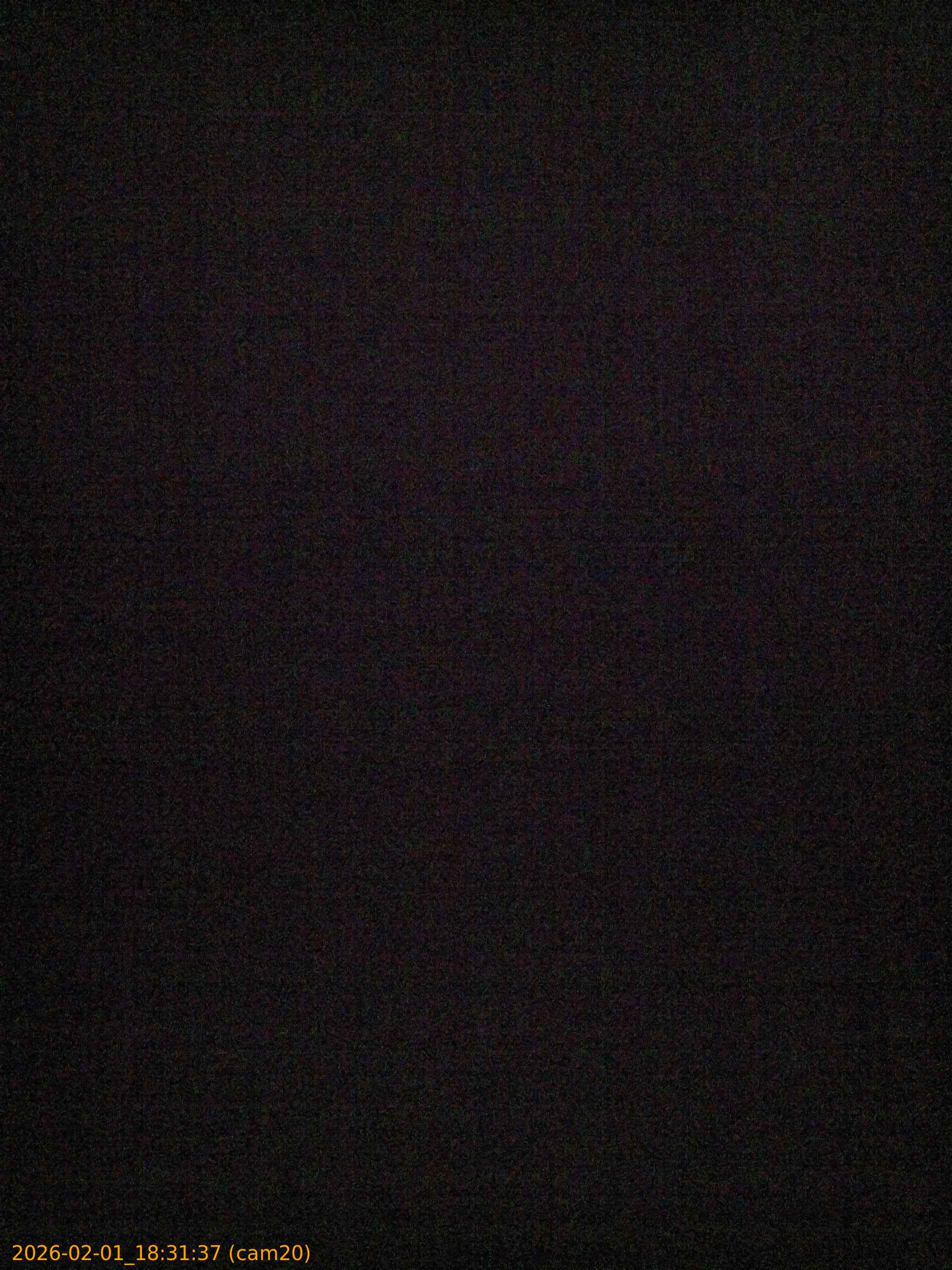 thumbnail_20260201183137