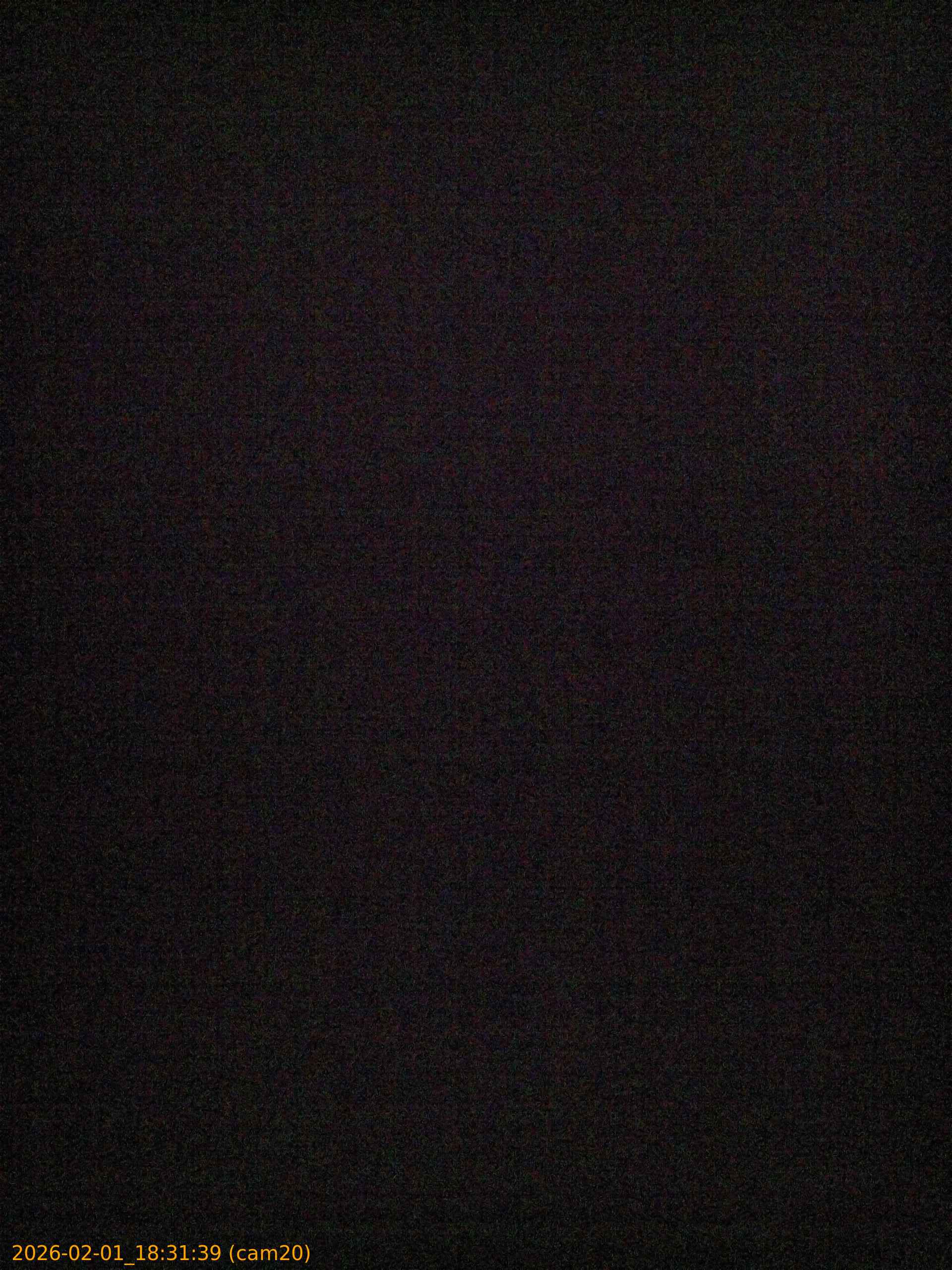 thumbnail_20260201183139