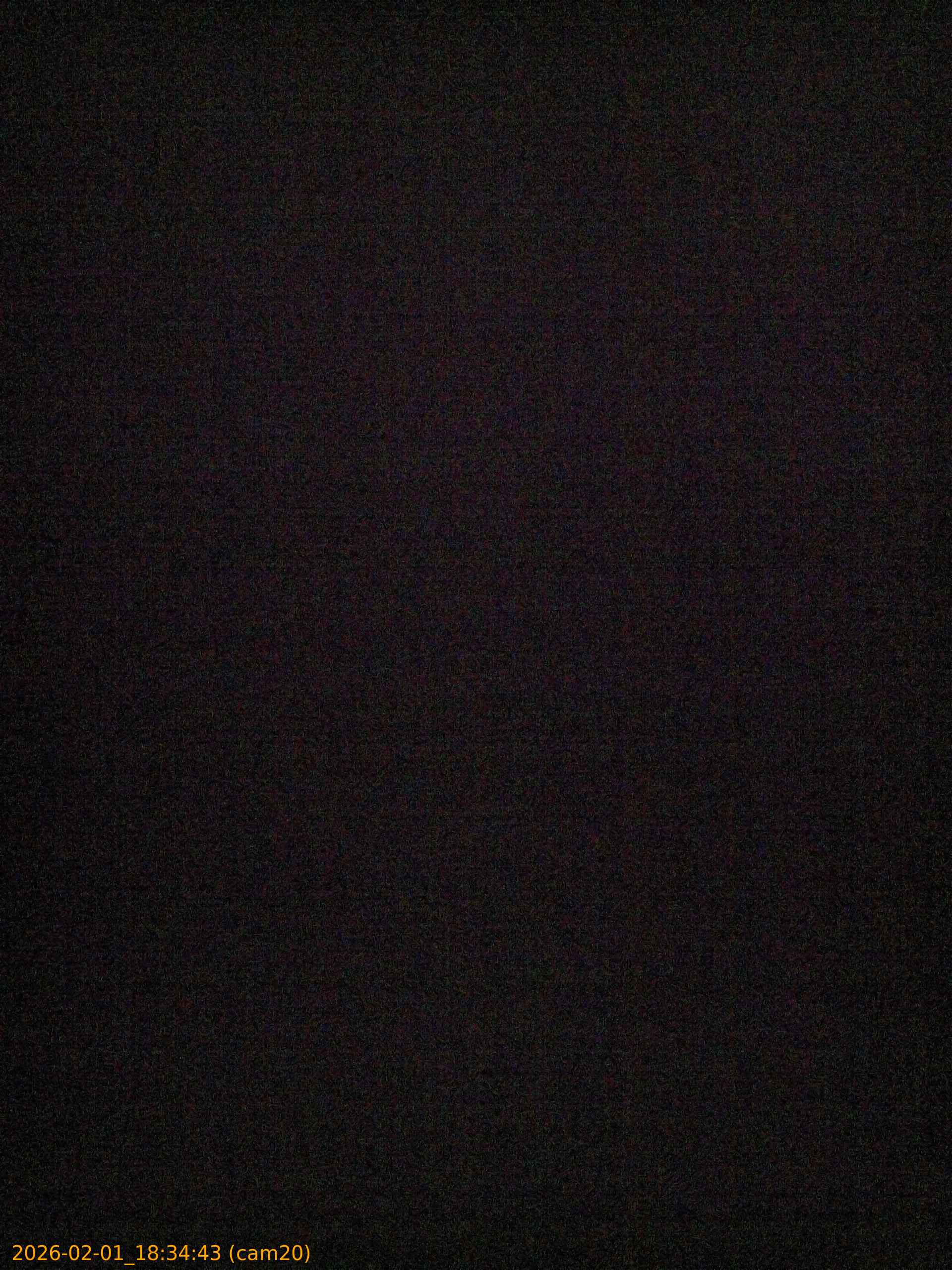 thumbnail_20260201183443