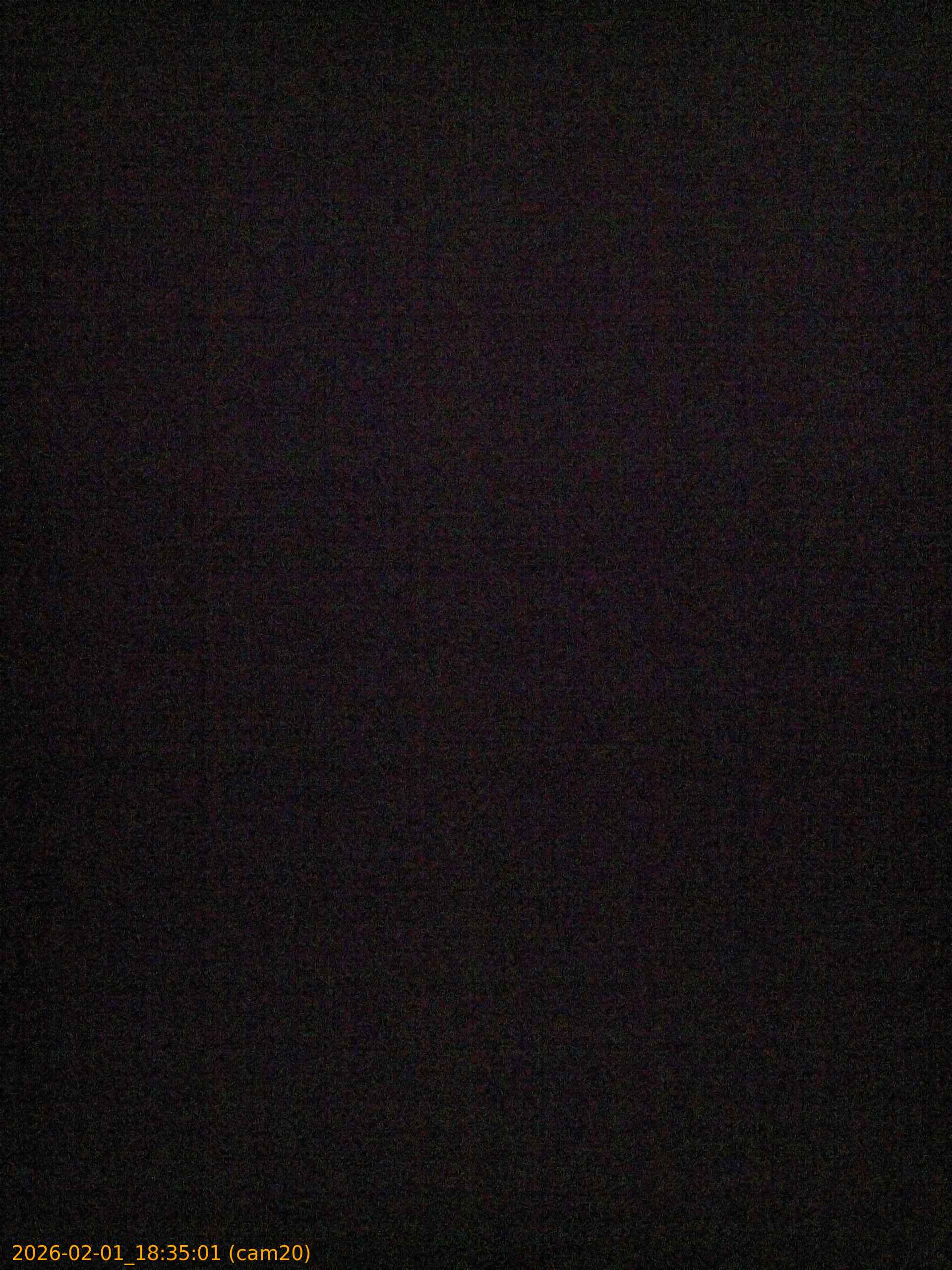 thumbnail_20260201183501