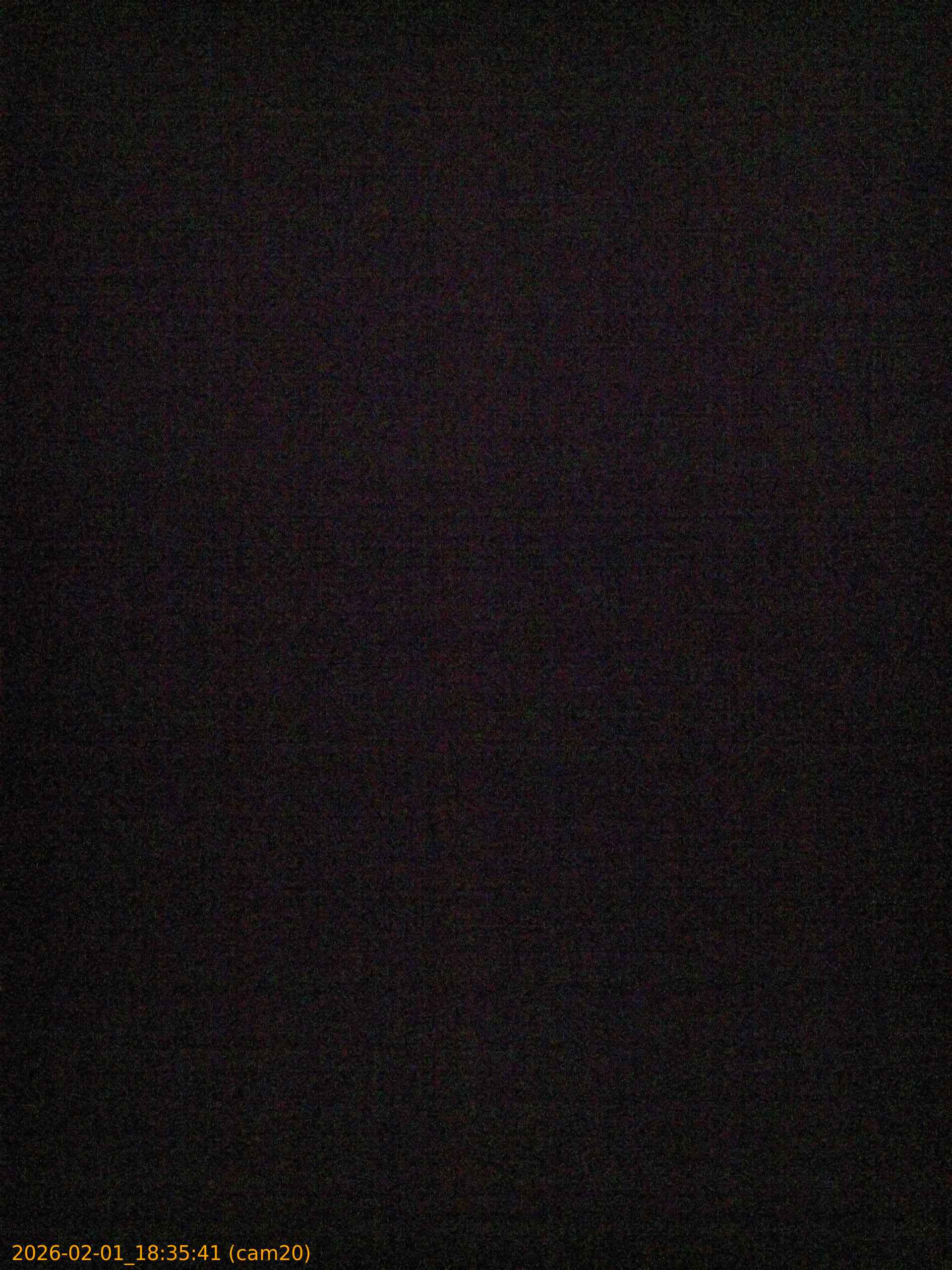 thumbnail_20260201183541