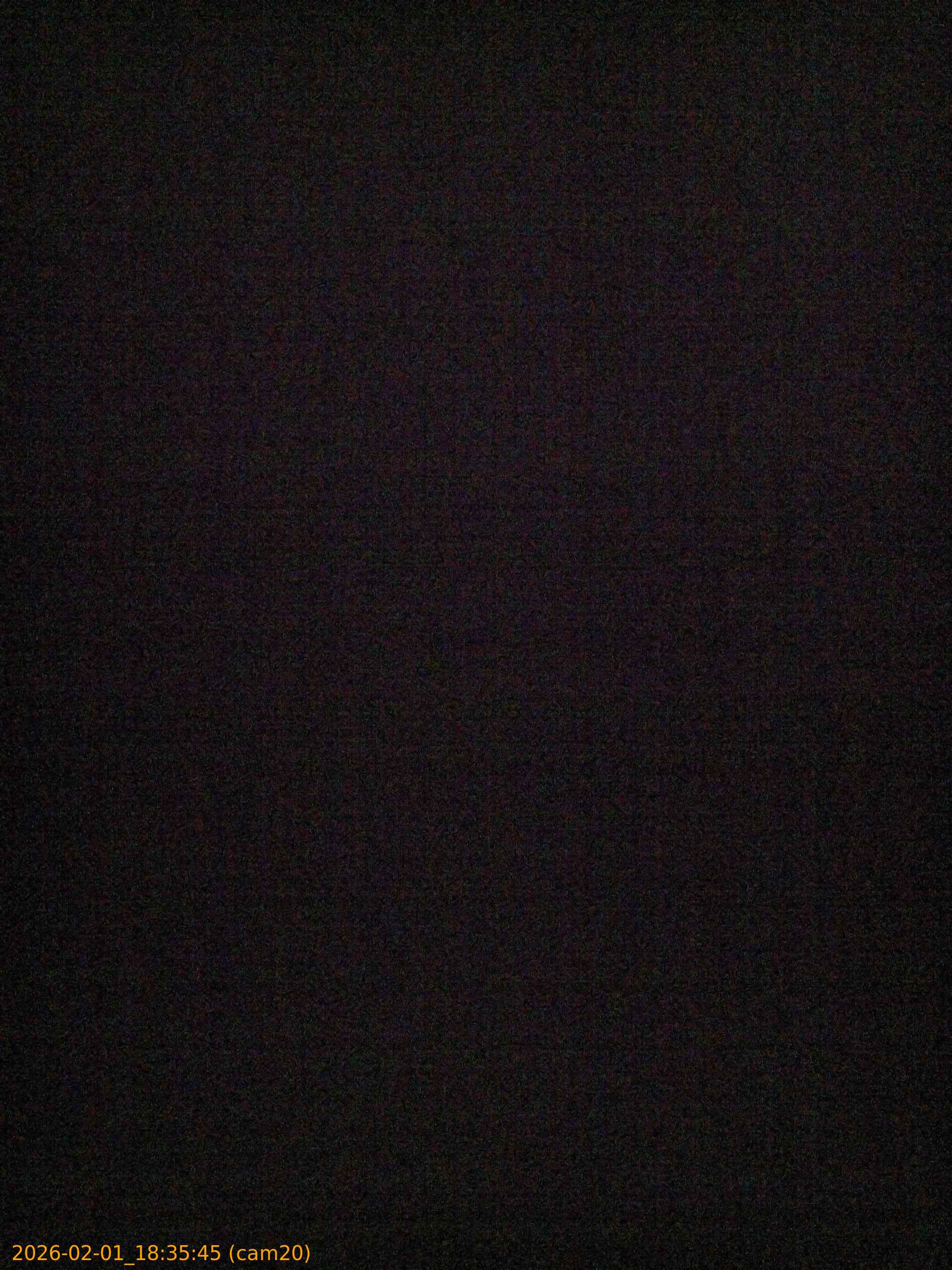 thumbnail_20260201183545