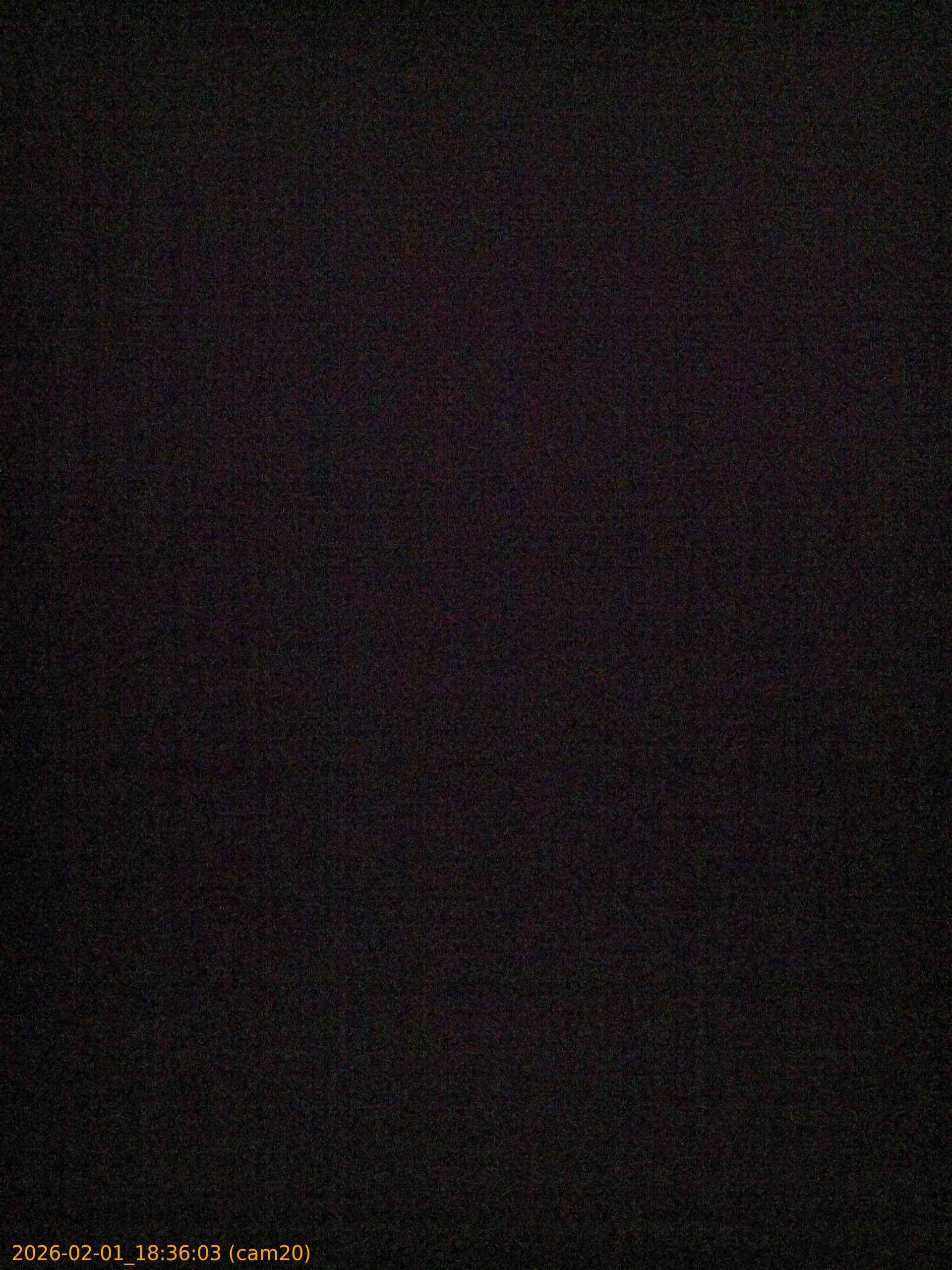 thumbnail_20260201183603