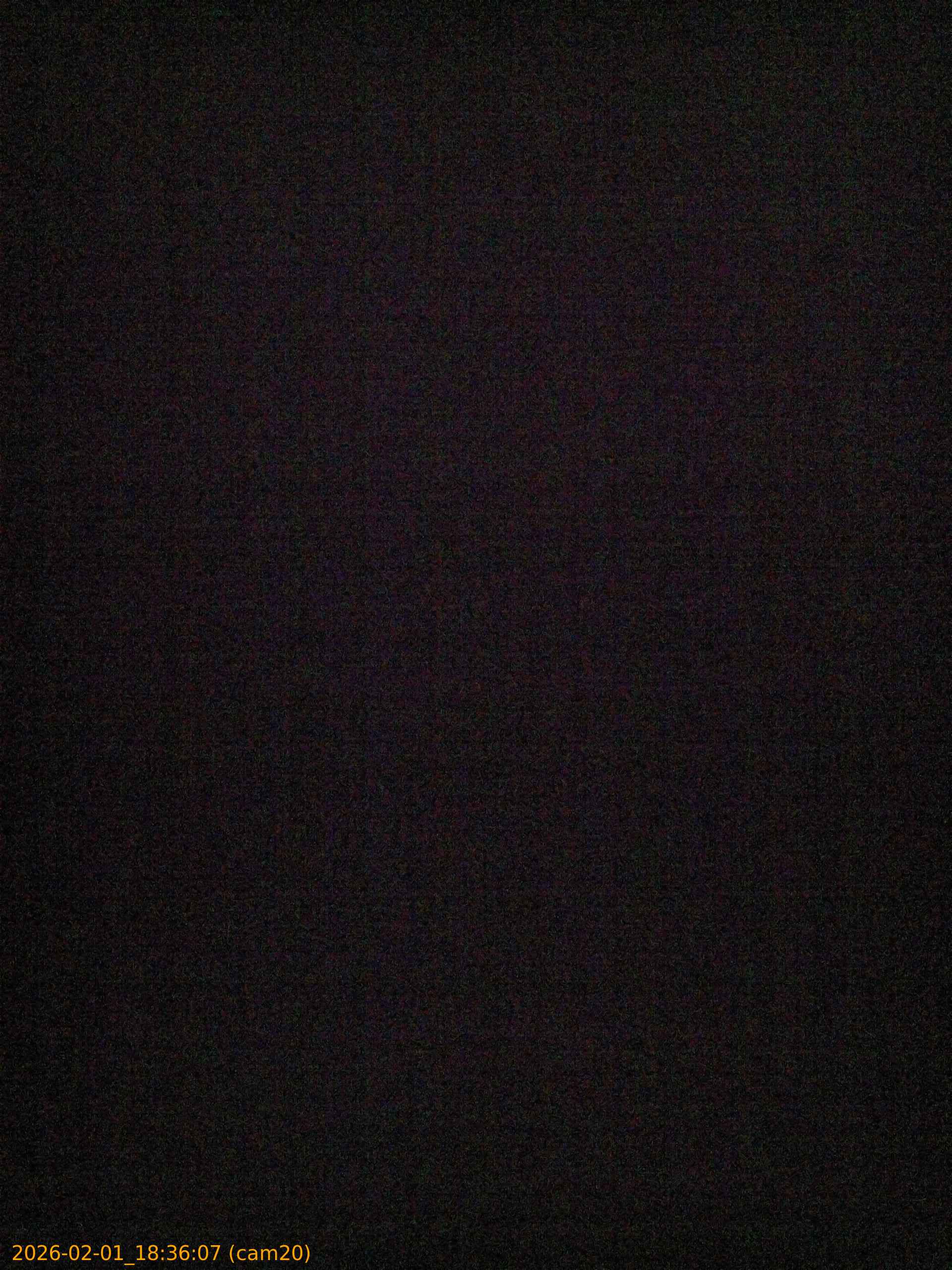 thumbnail_20260201183607