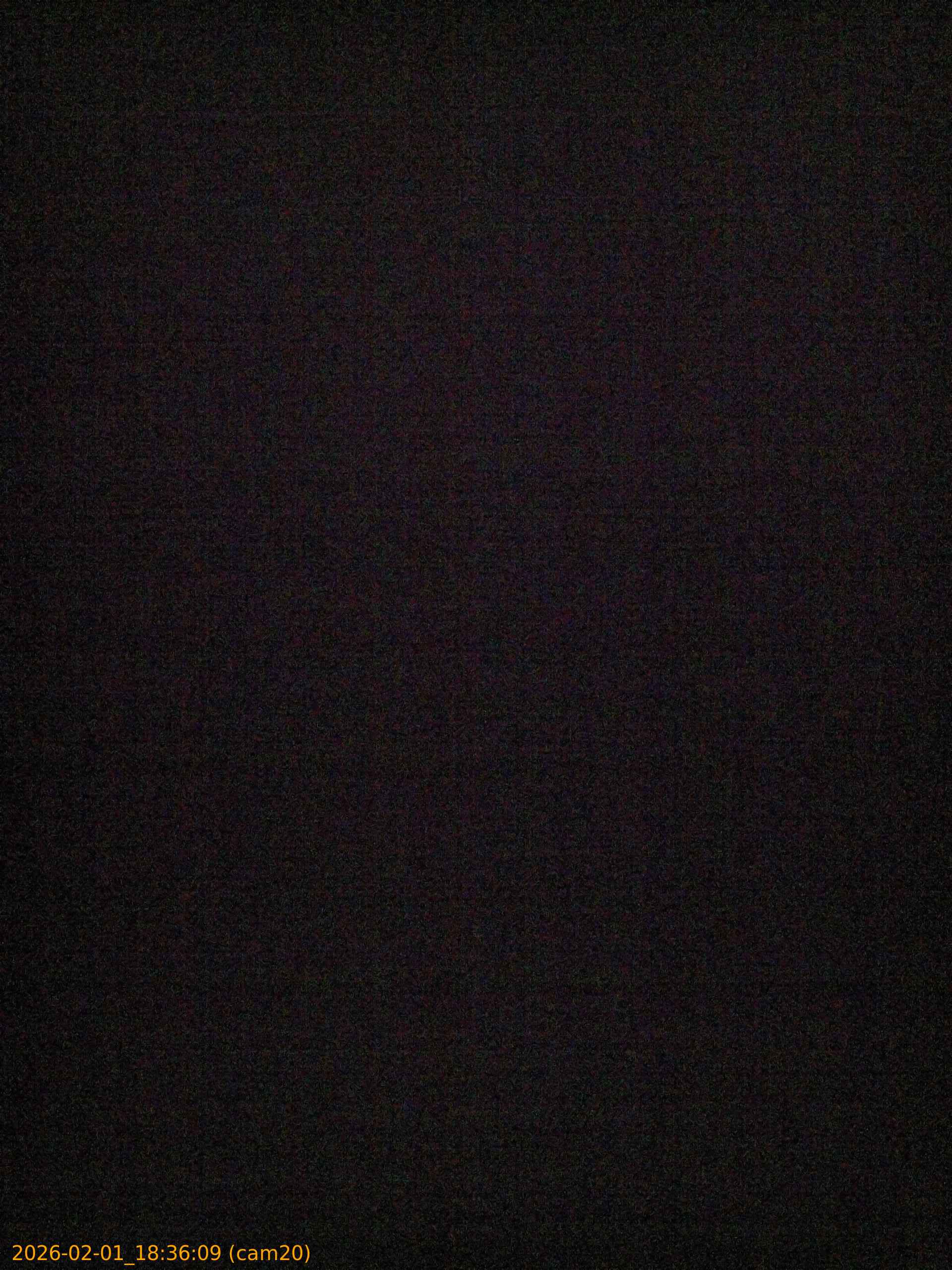 thumbnail_20260201183609