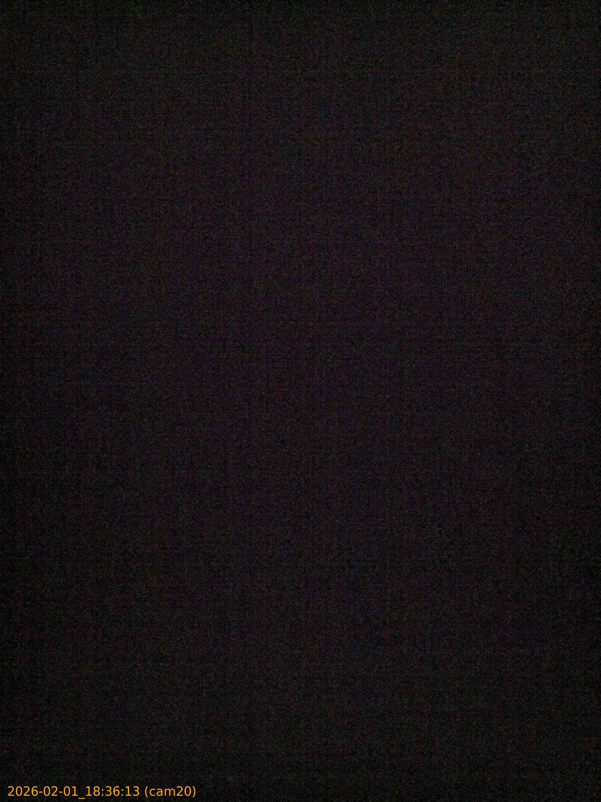 thumbnail_20260201183613