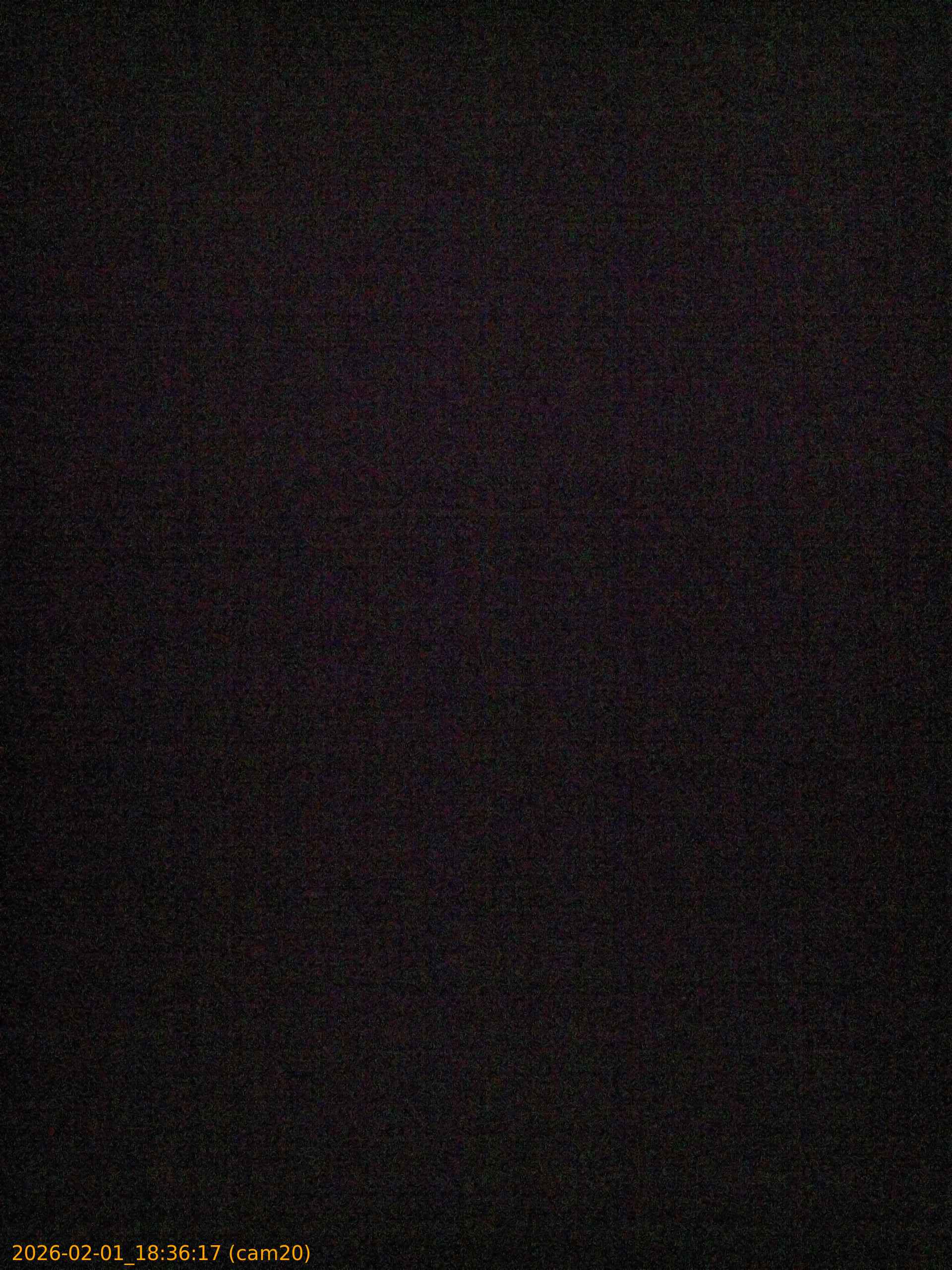 thumbnail_20260201183617