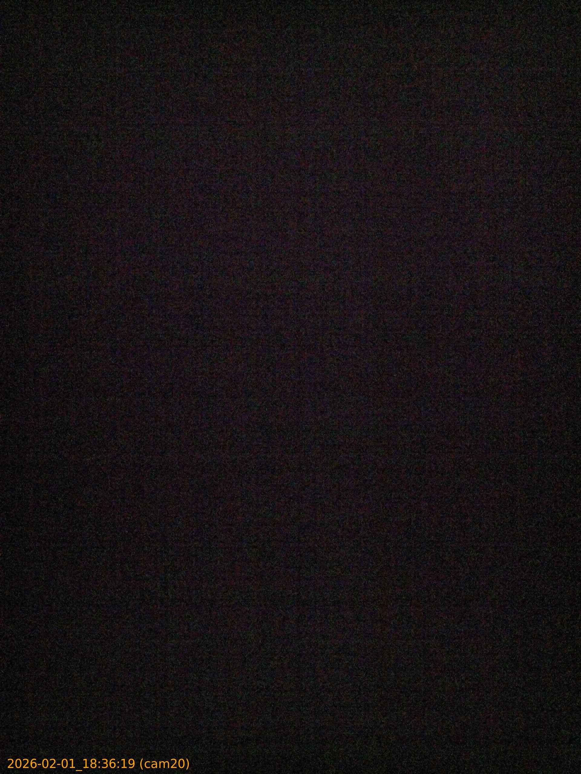 thumbnail_20260201183619