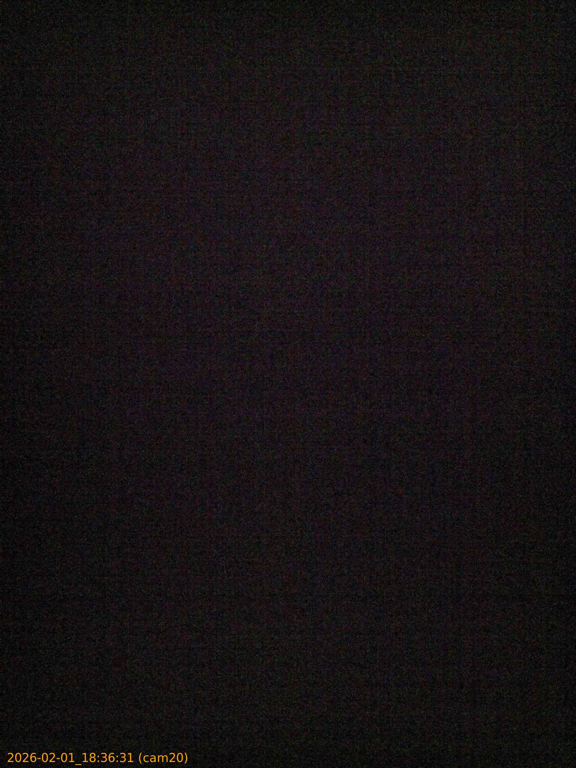 thumbnail_20260201183631