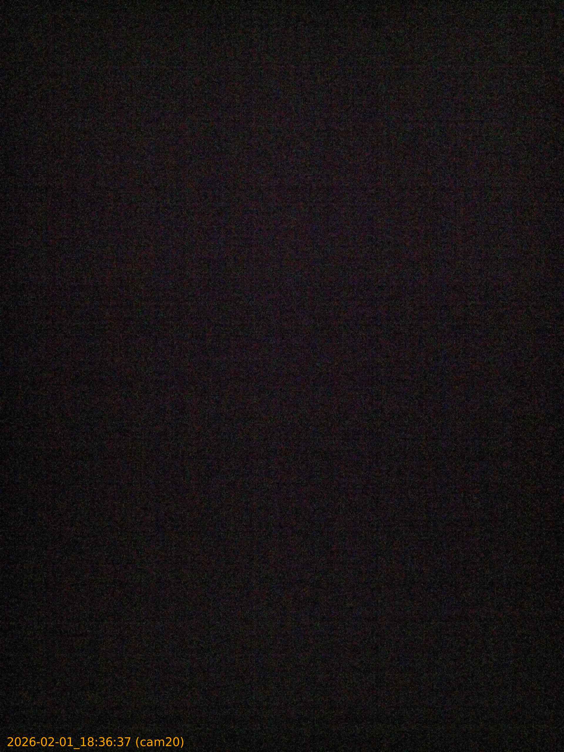 thumbnail_20260201183637