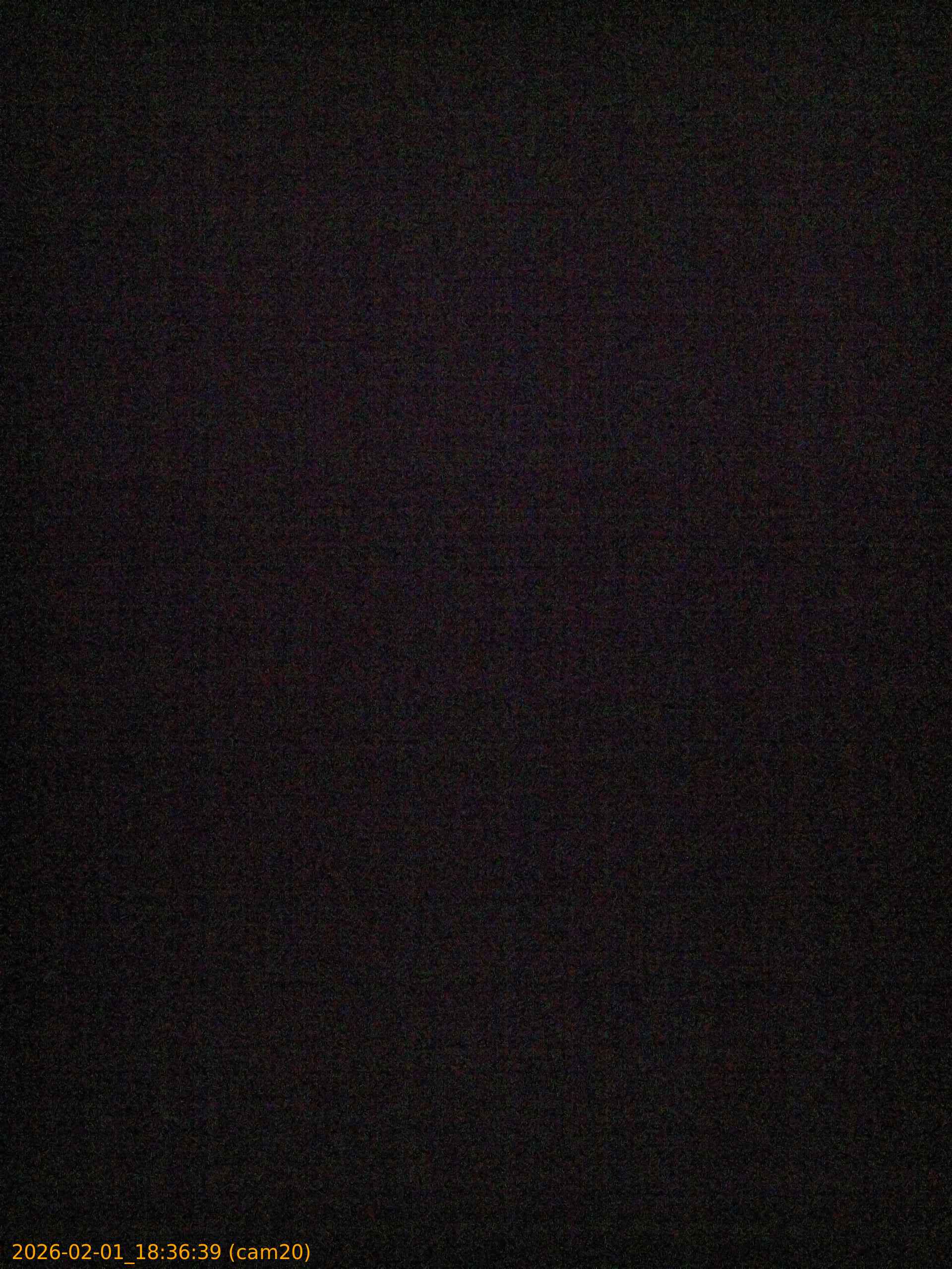 thumbnail_20260201183639