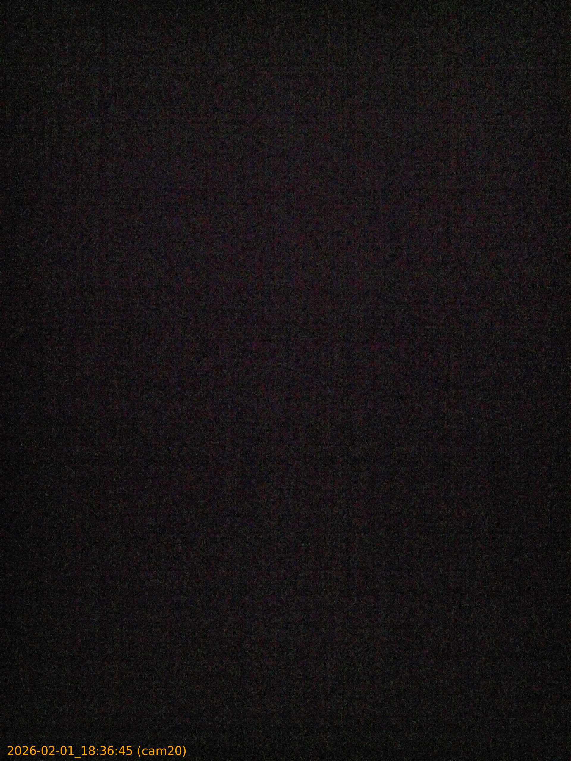 thumbnail_20260201183645