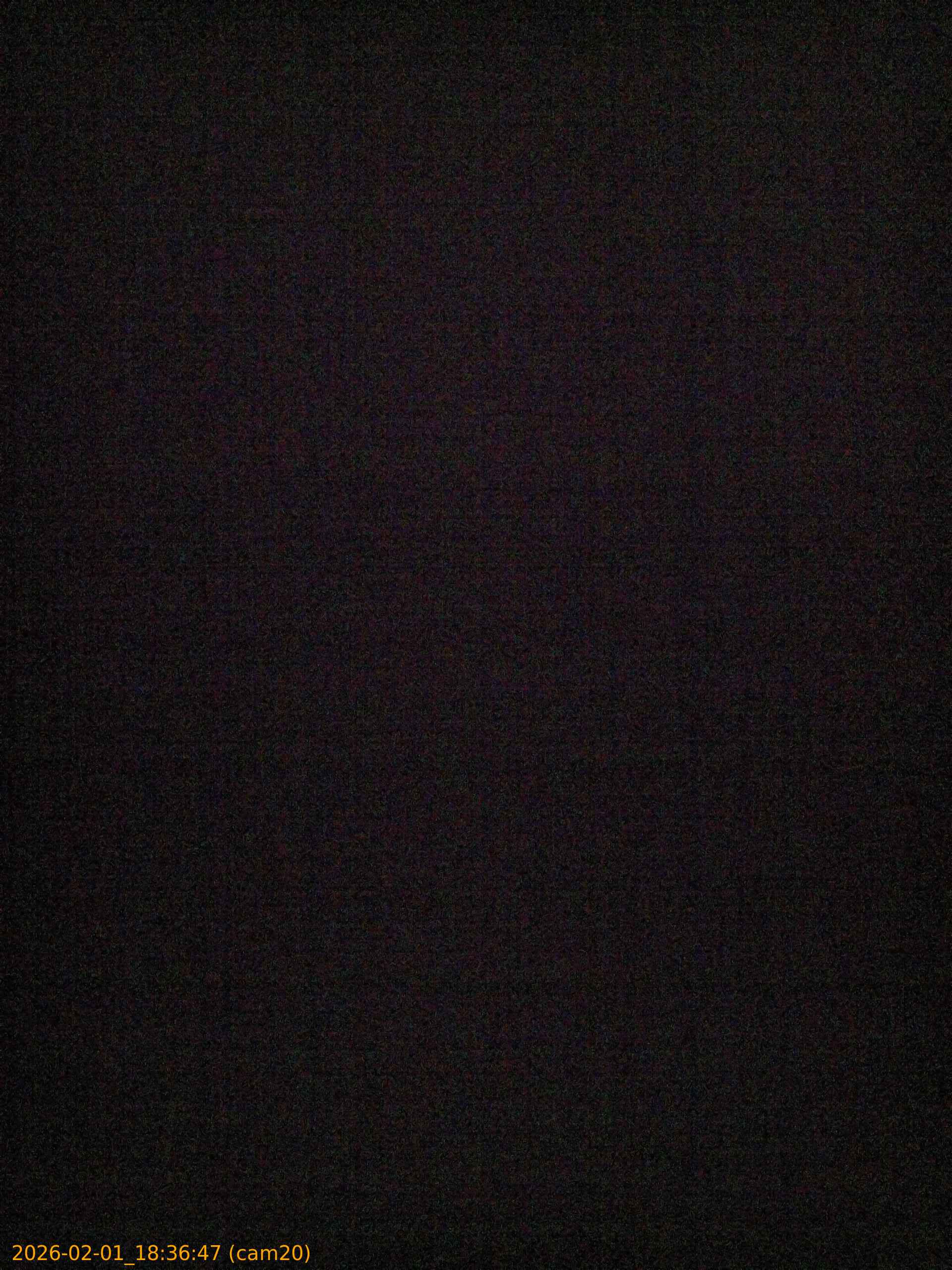 thumbnail_20260201183647