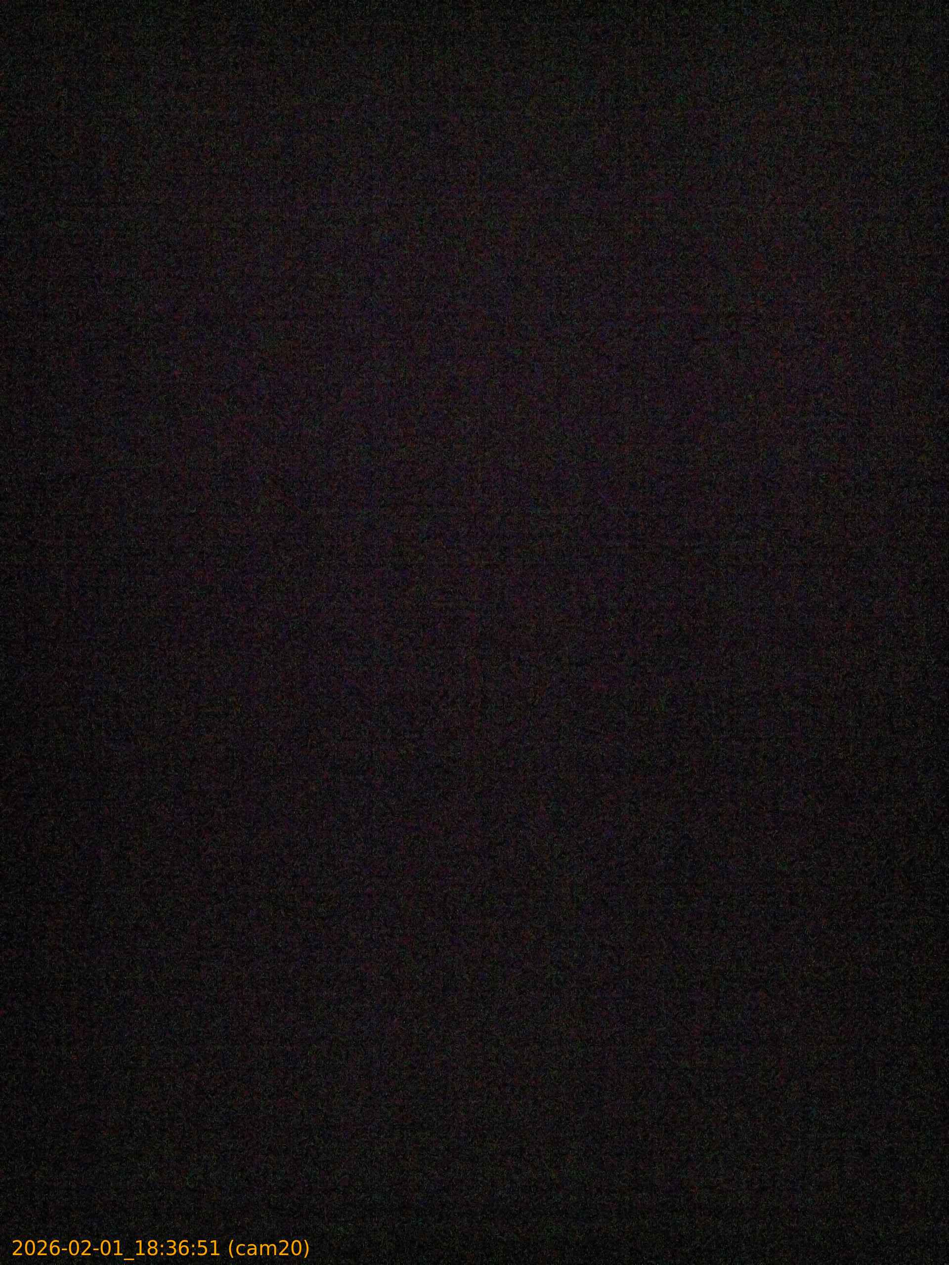 thumbnail_20260201183651