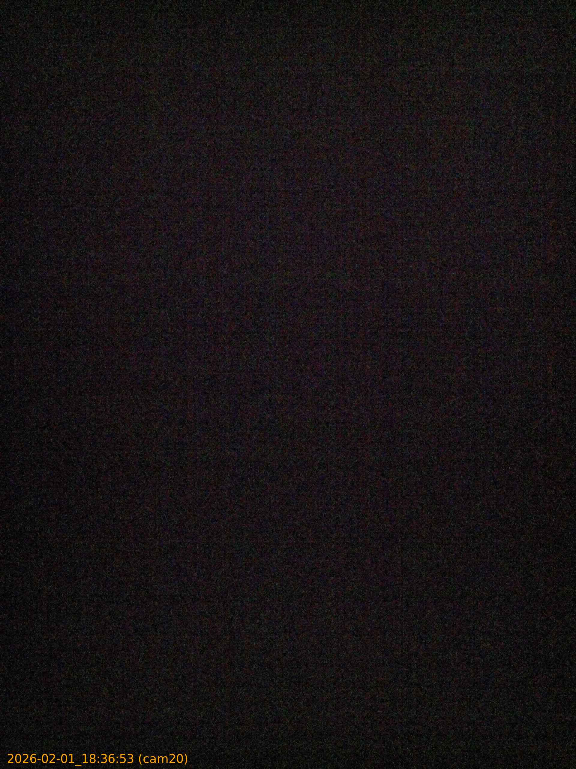 thumbnail_20260201183653