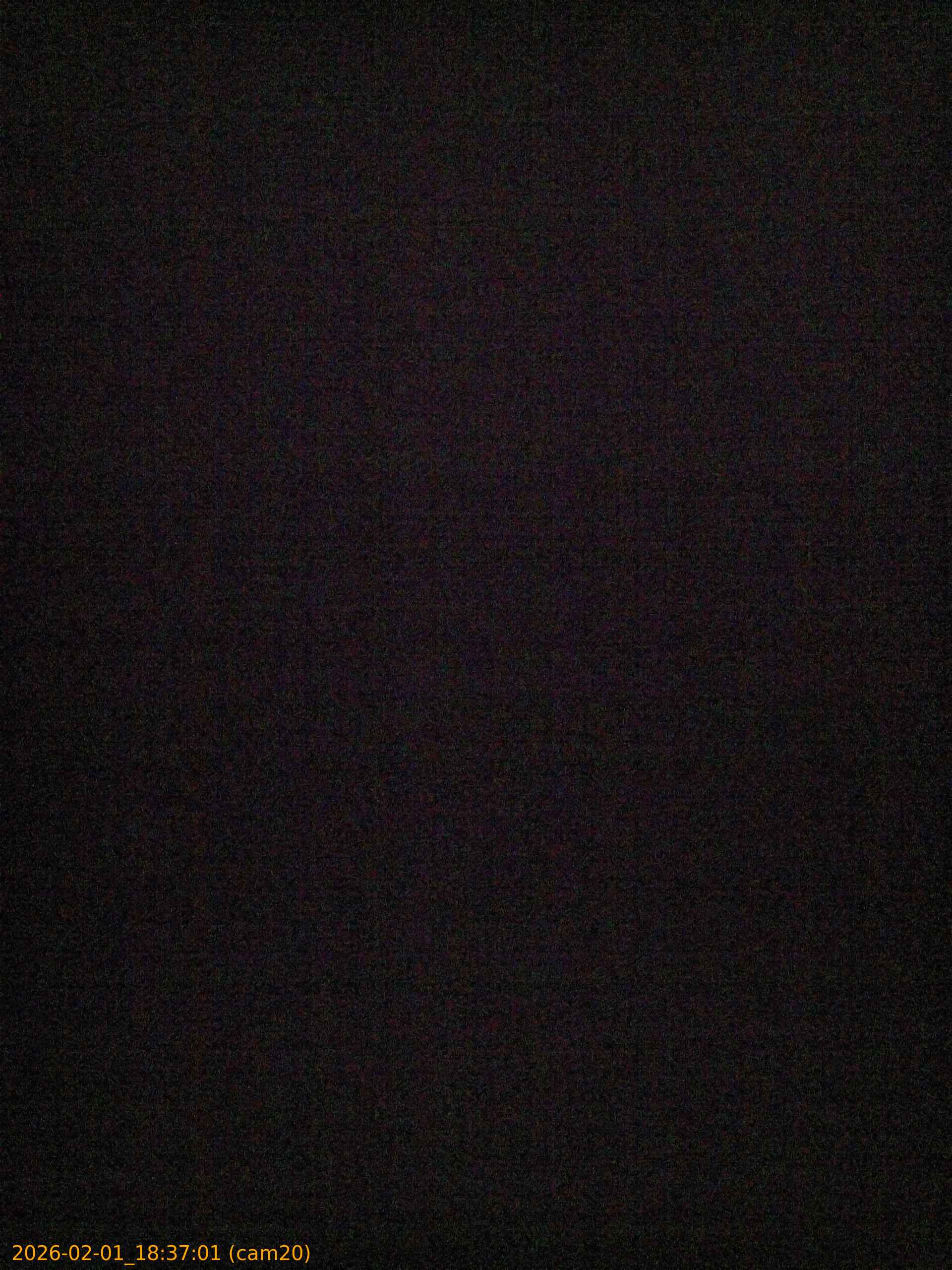 thumbnail_20260201183701