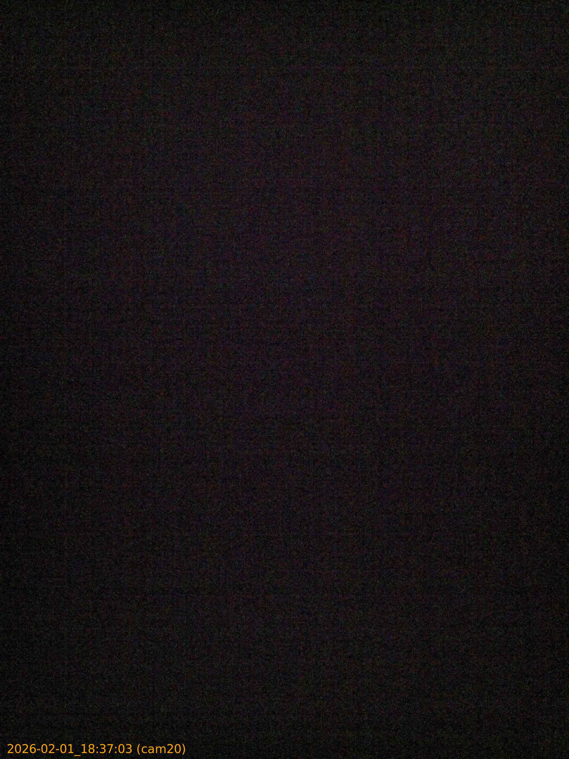 thumbnail_20260201183703