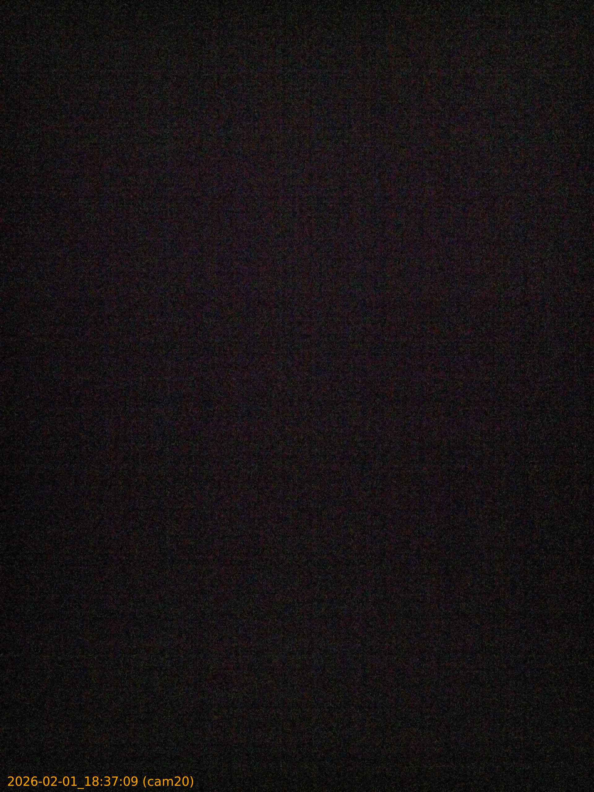 thumbnail_20260201183709