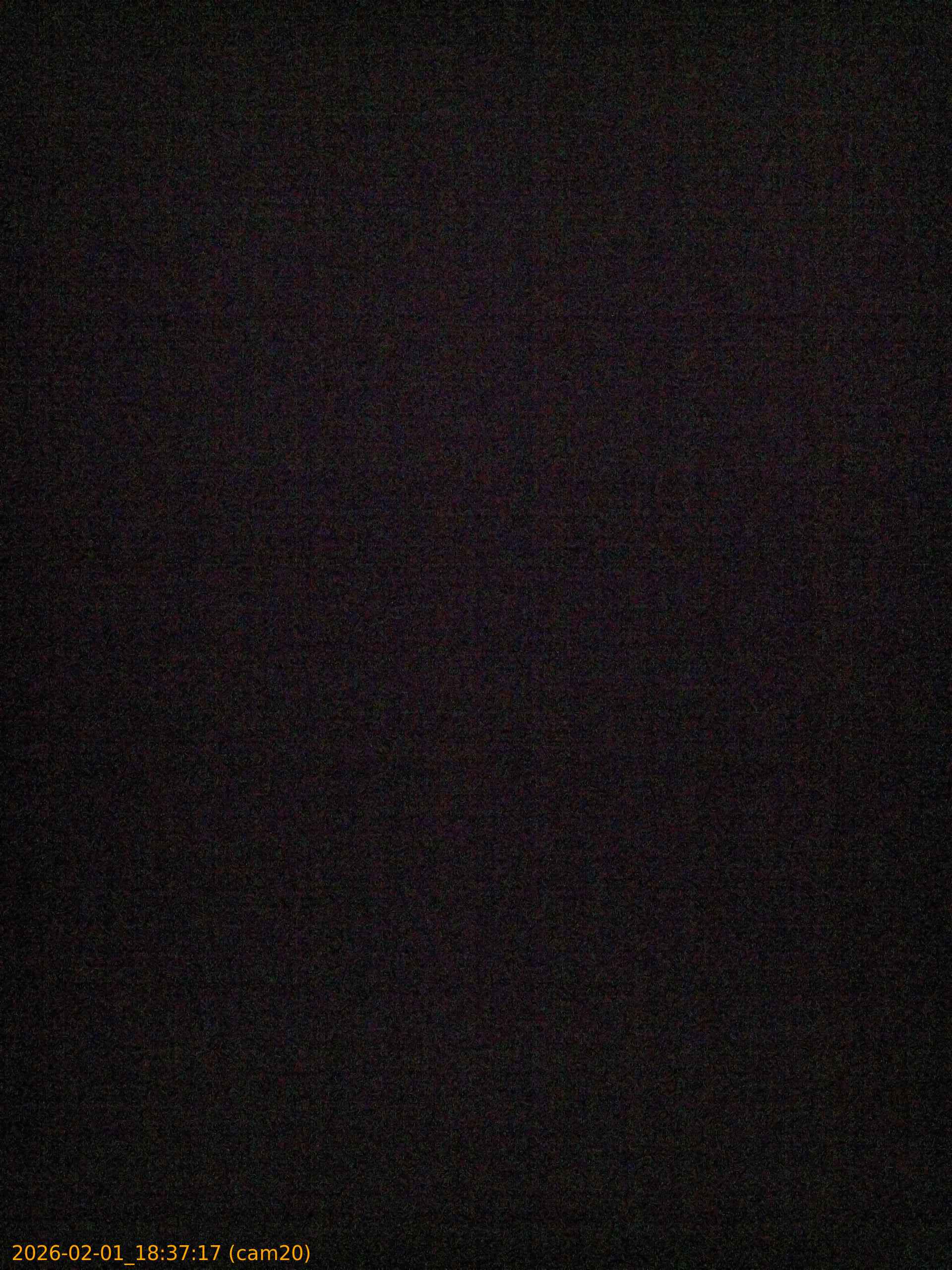 thumbnail_20260201183717